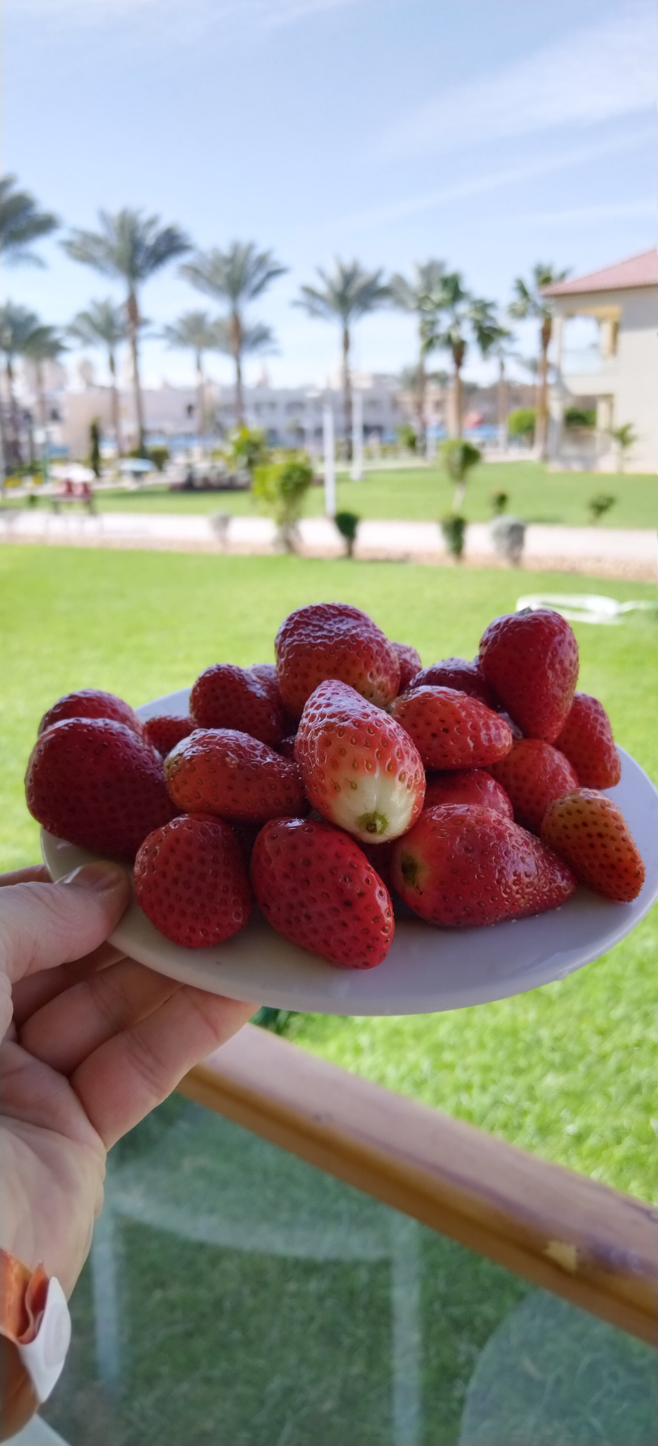 Фото Pickalbatros Aqua Blu Sharm El Sheikh