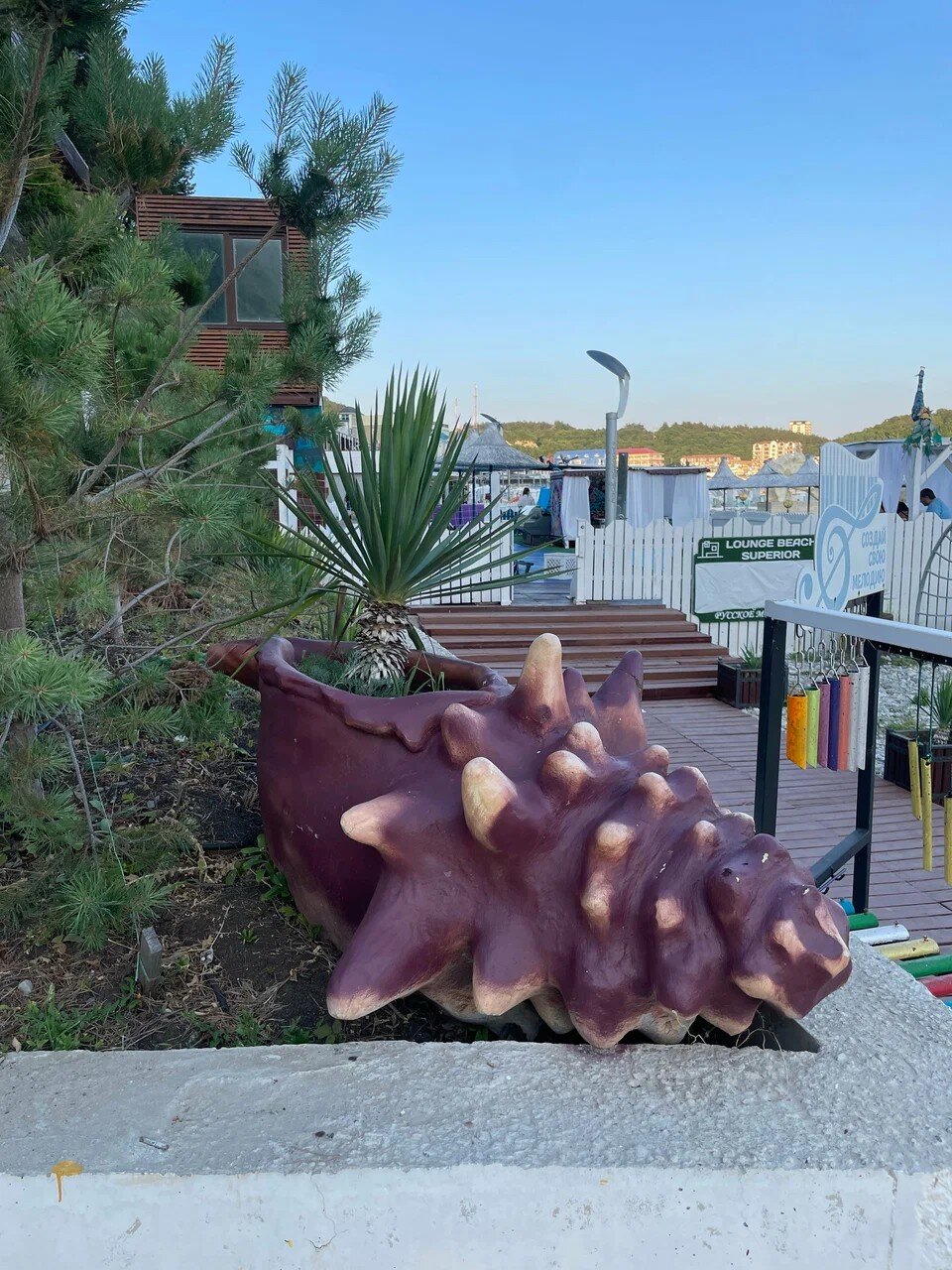 Фото Русское Море