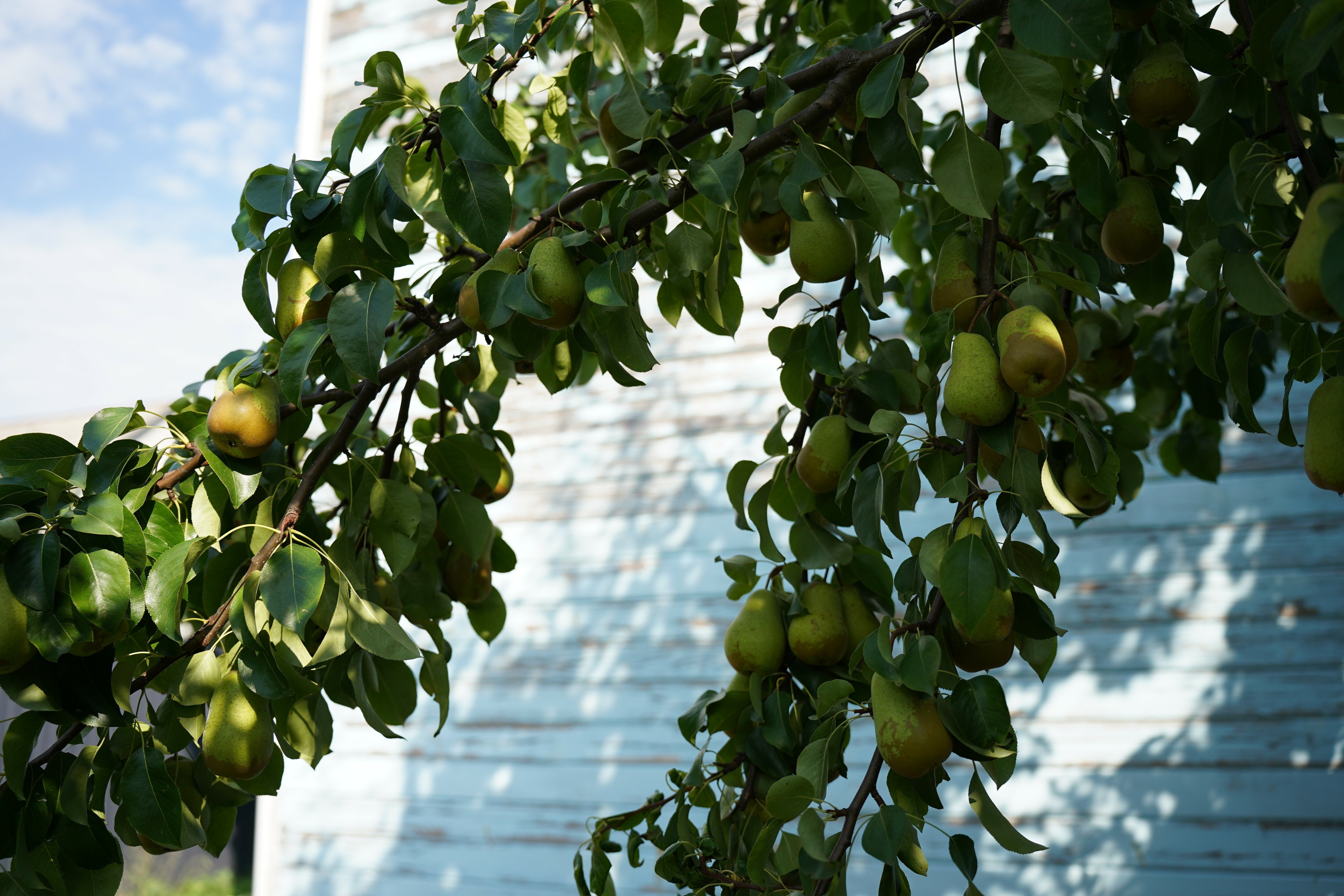 Фото В гостях у мастера