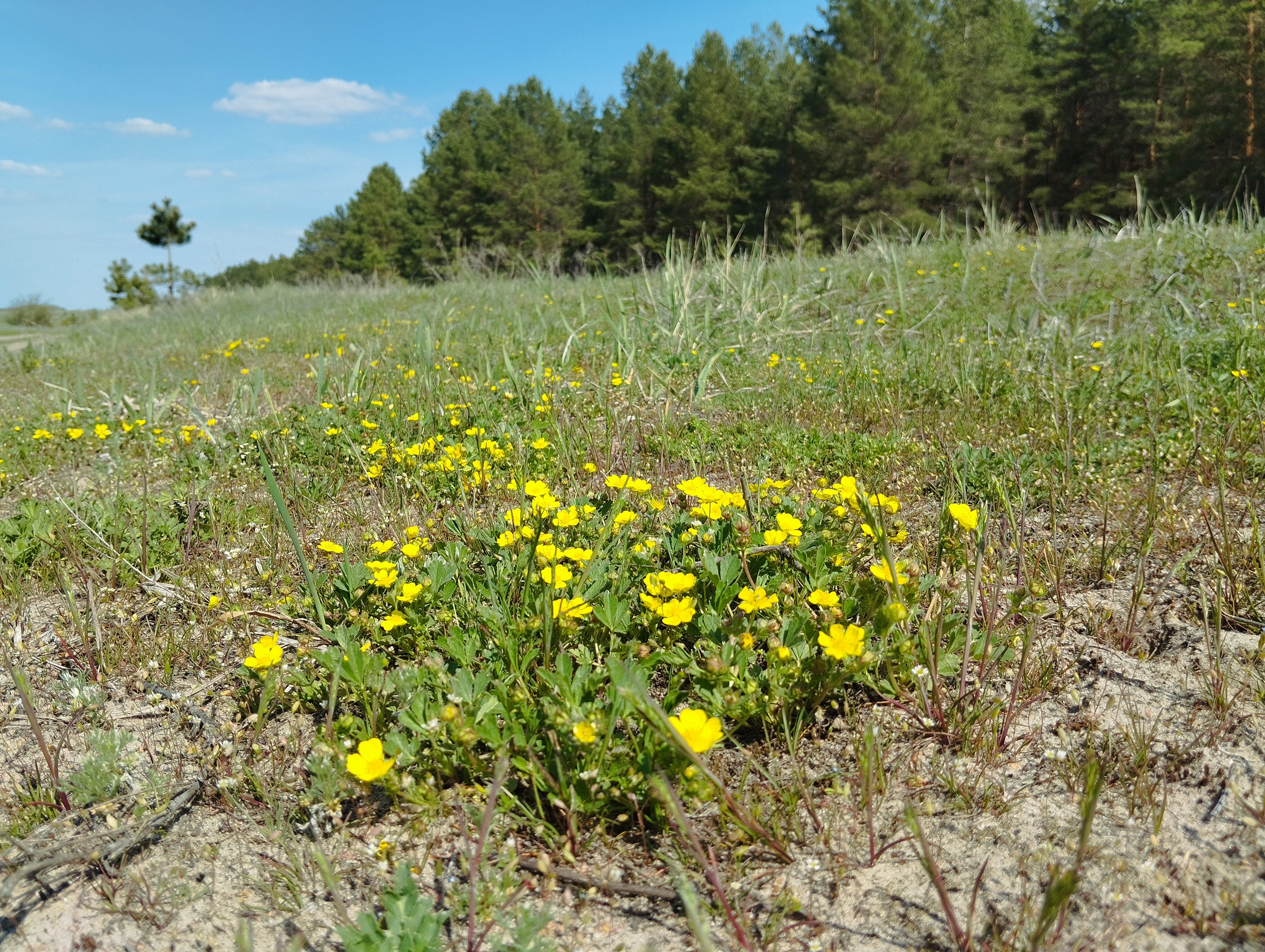 Фото Сказка