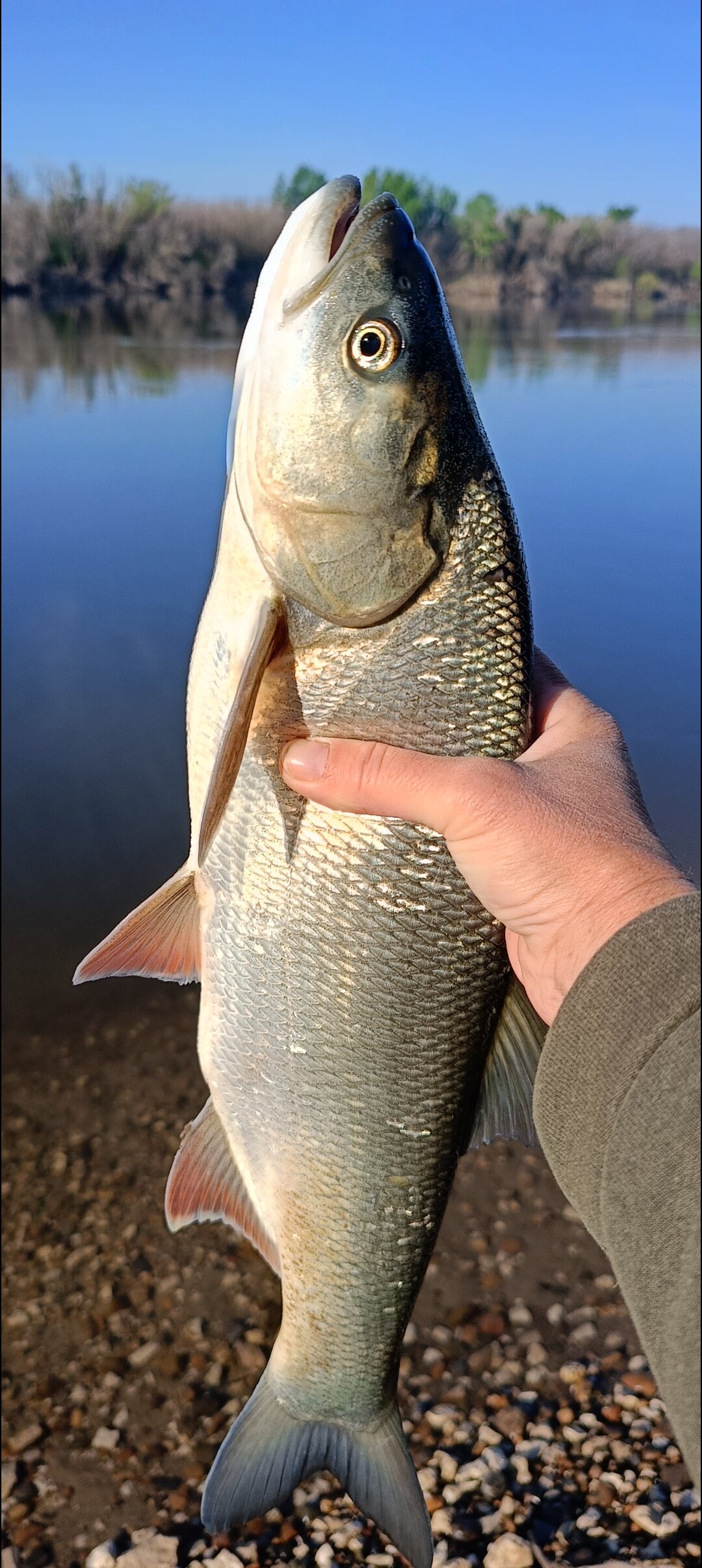 Фото КигачОК