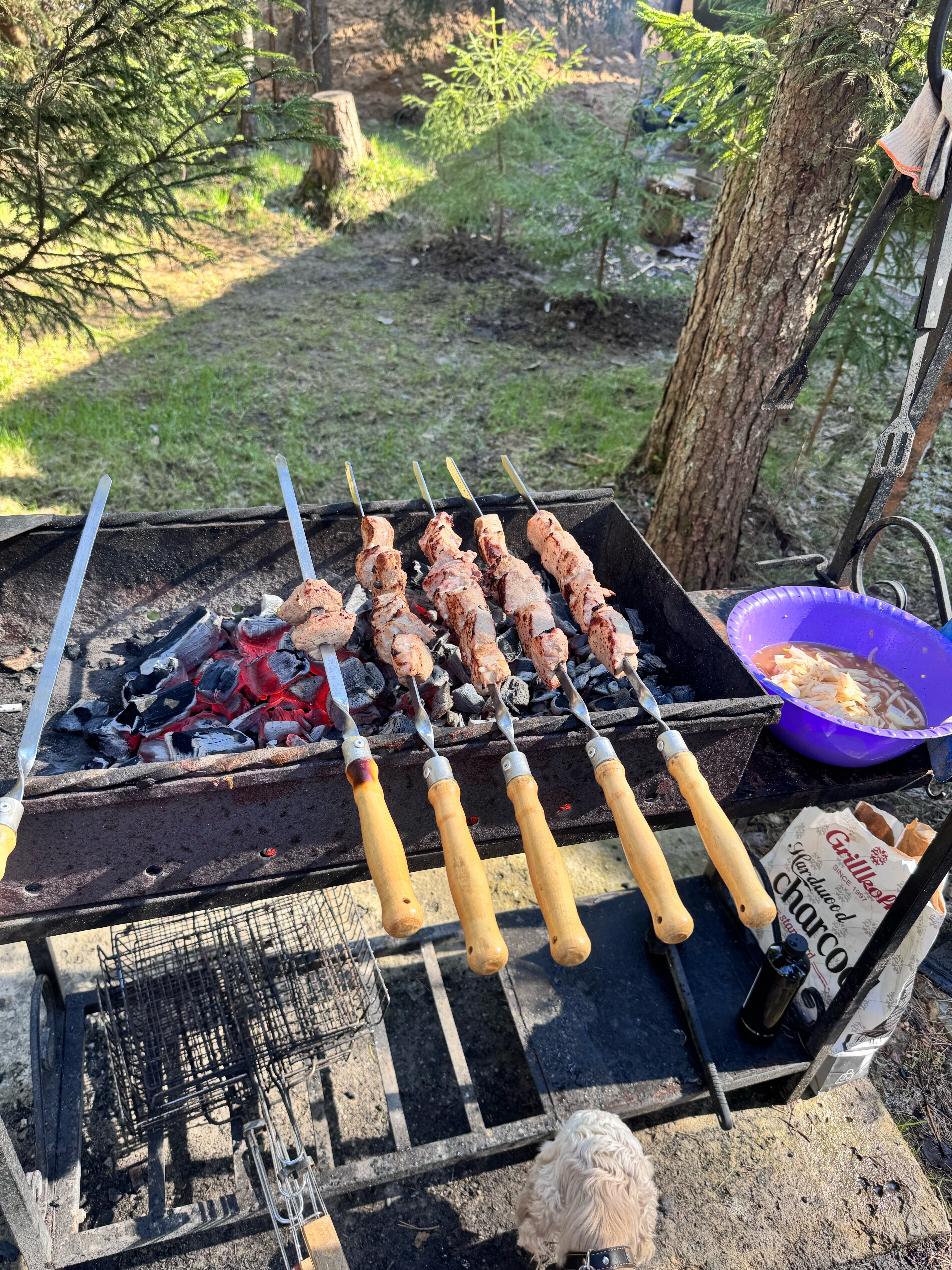 Фото Дача ForestHall