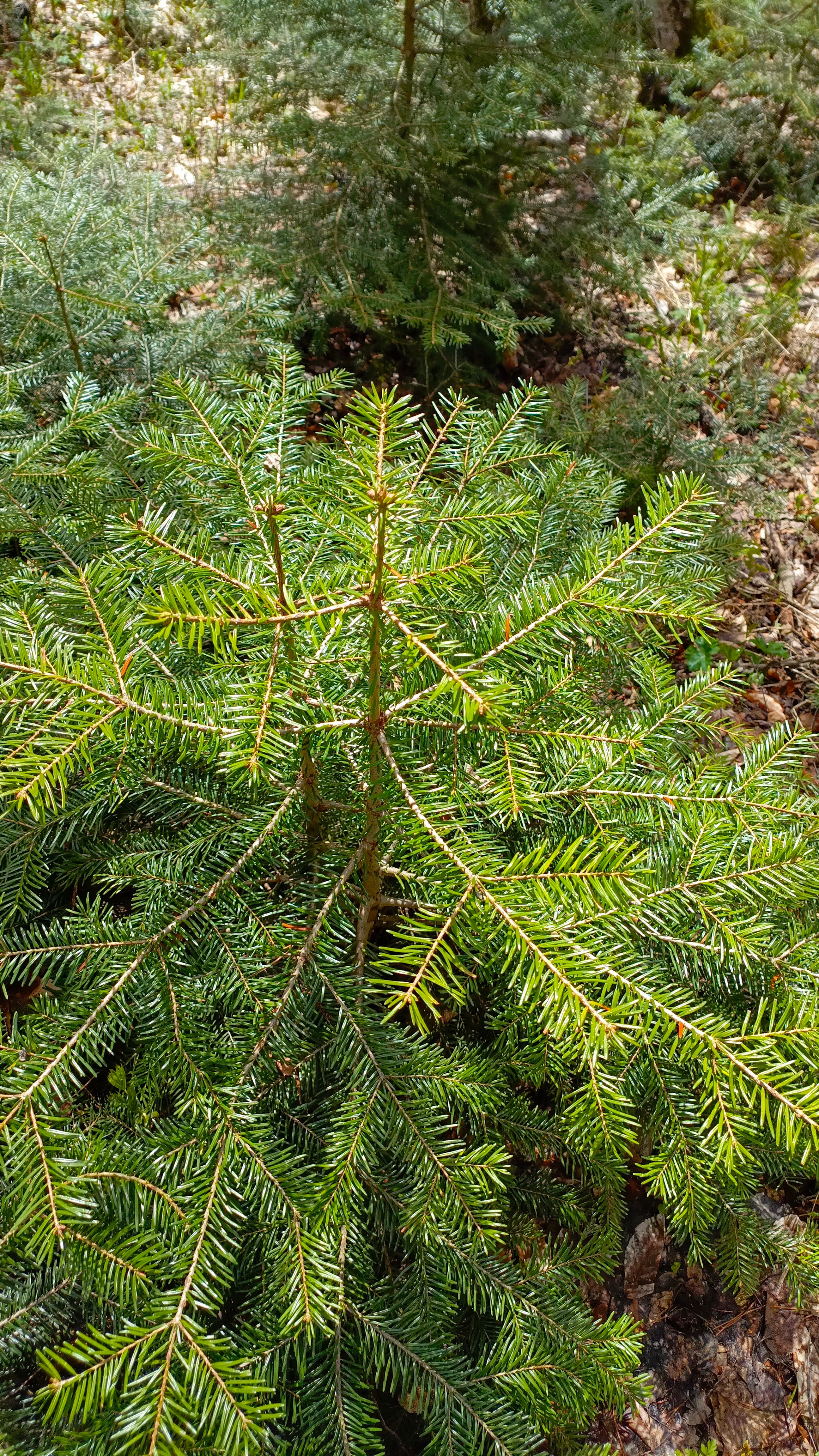 Фото Тишина