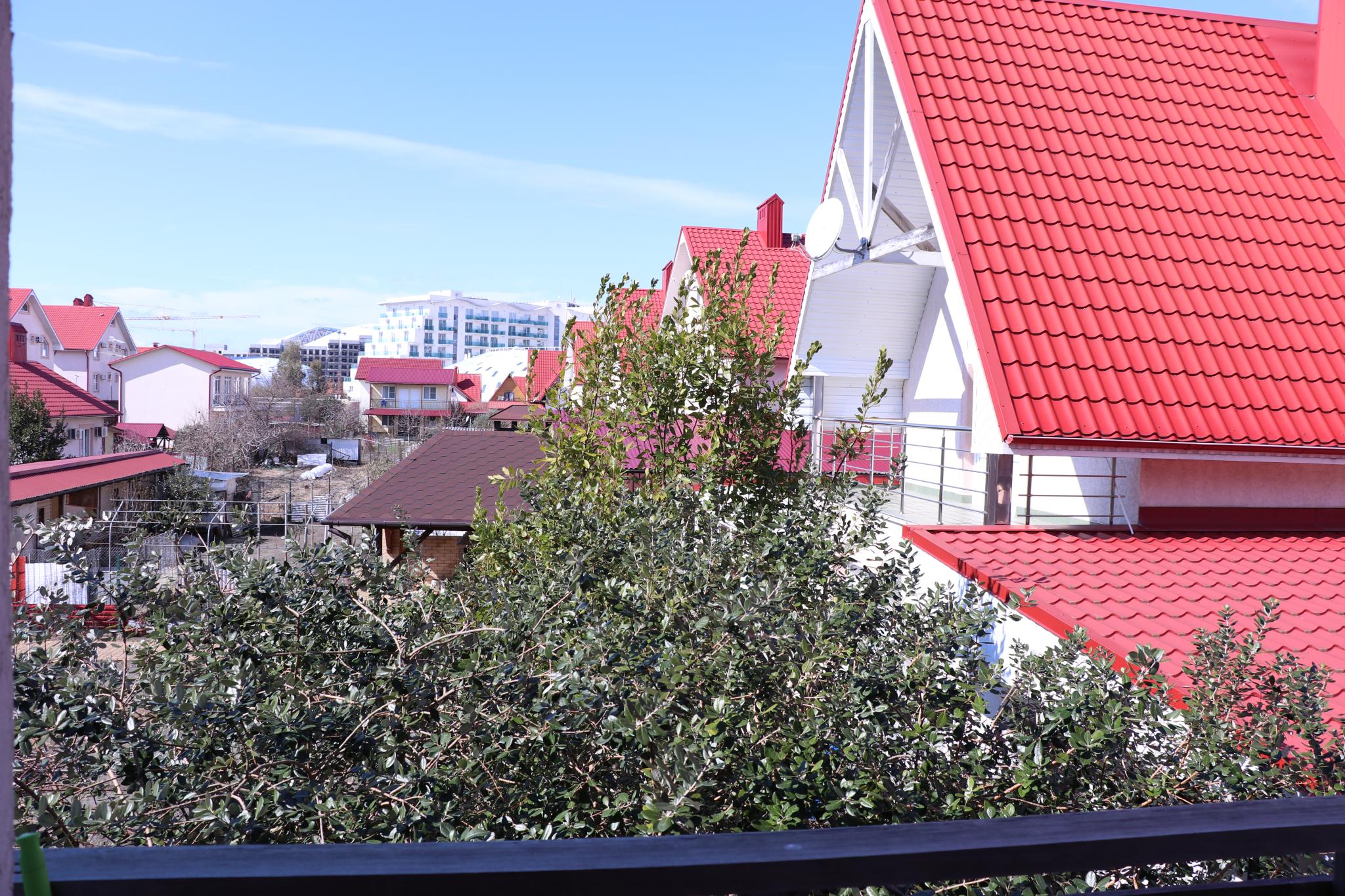 Фото Маргарита