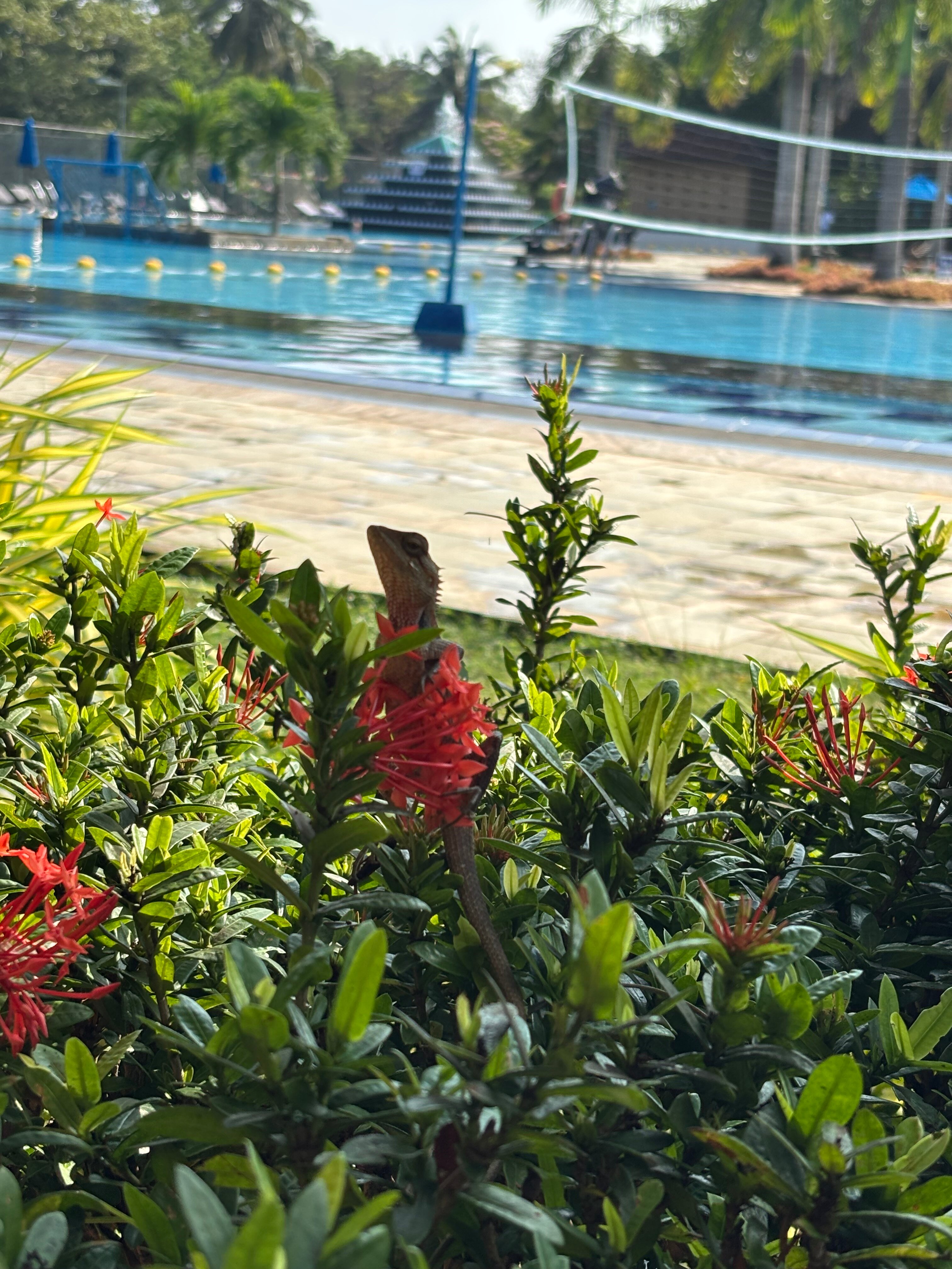 Фото Club Palm Bay