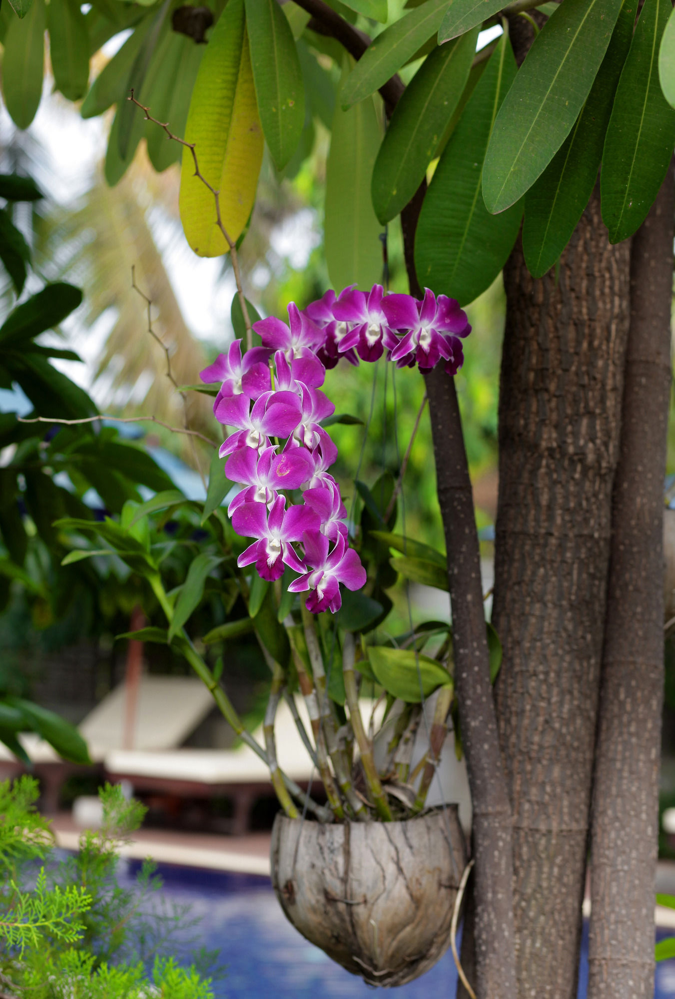 Фото Reveal Angkor Hotel