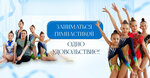 Высшая школа художественной гимнастики (Uralskaya Street, 1), club deportivo, sección