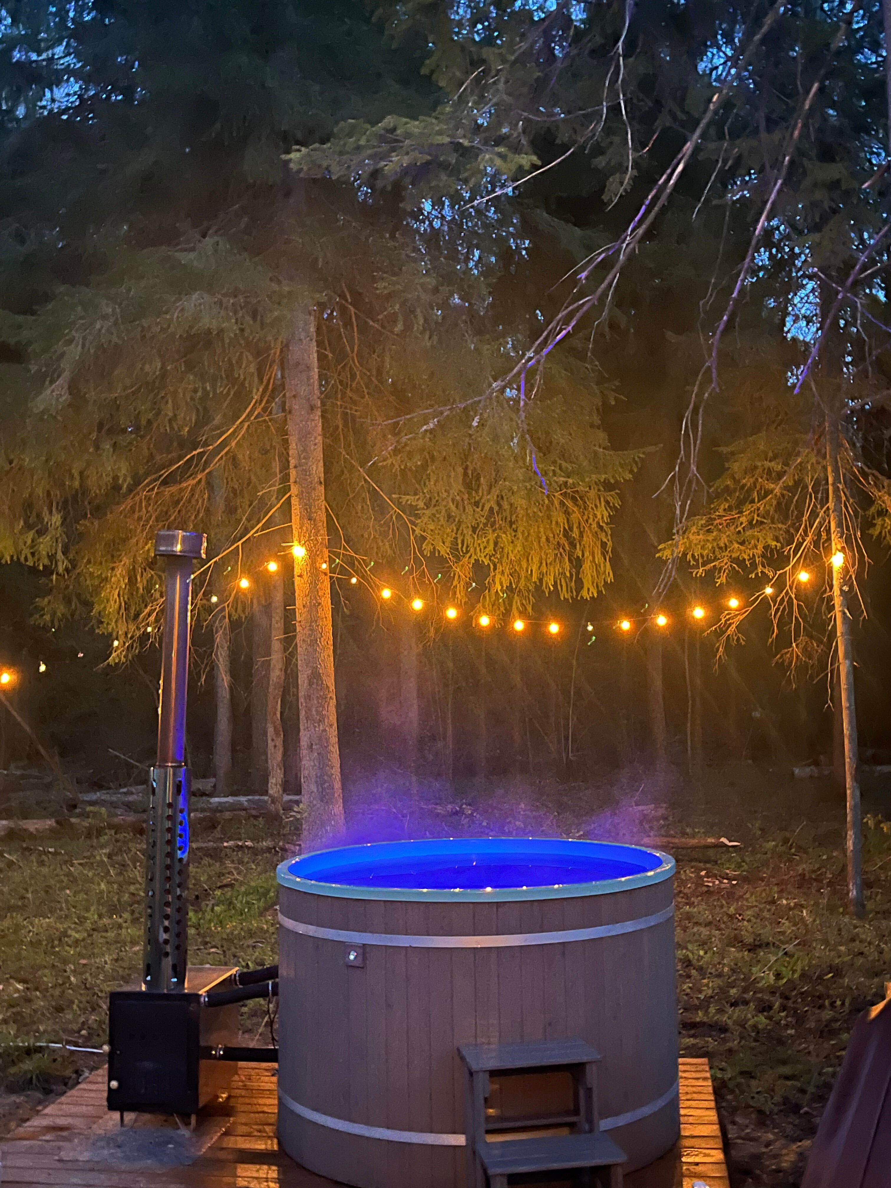 Фото Лесариум