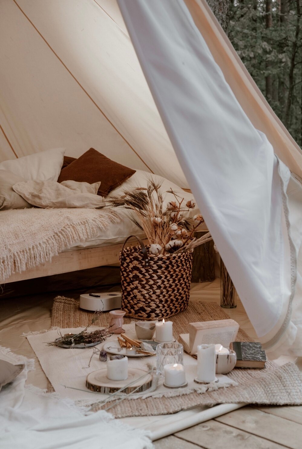 Фото Sabrina’s green house