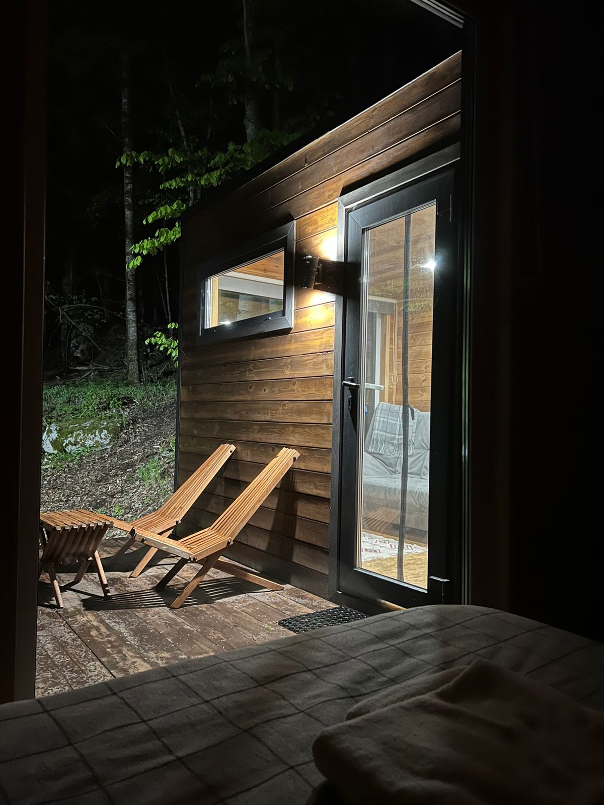 Фото Шелест