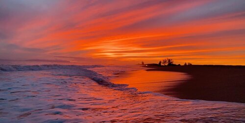 Гостиница Waimea Plantation Cottages, a Coast Resort в Камуеле