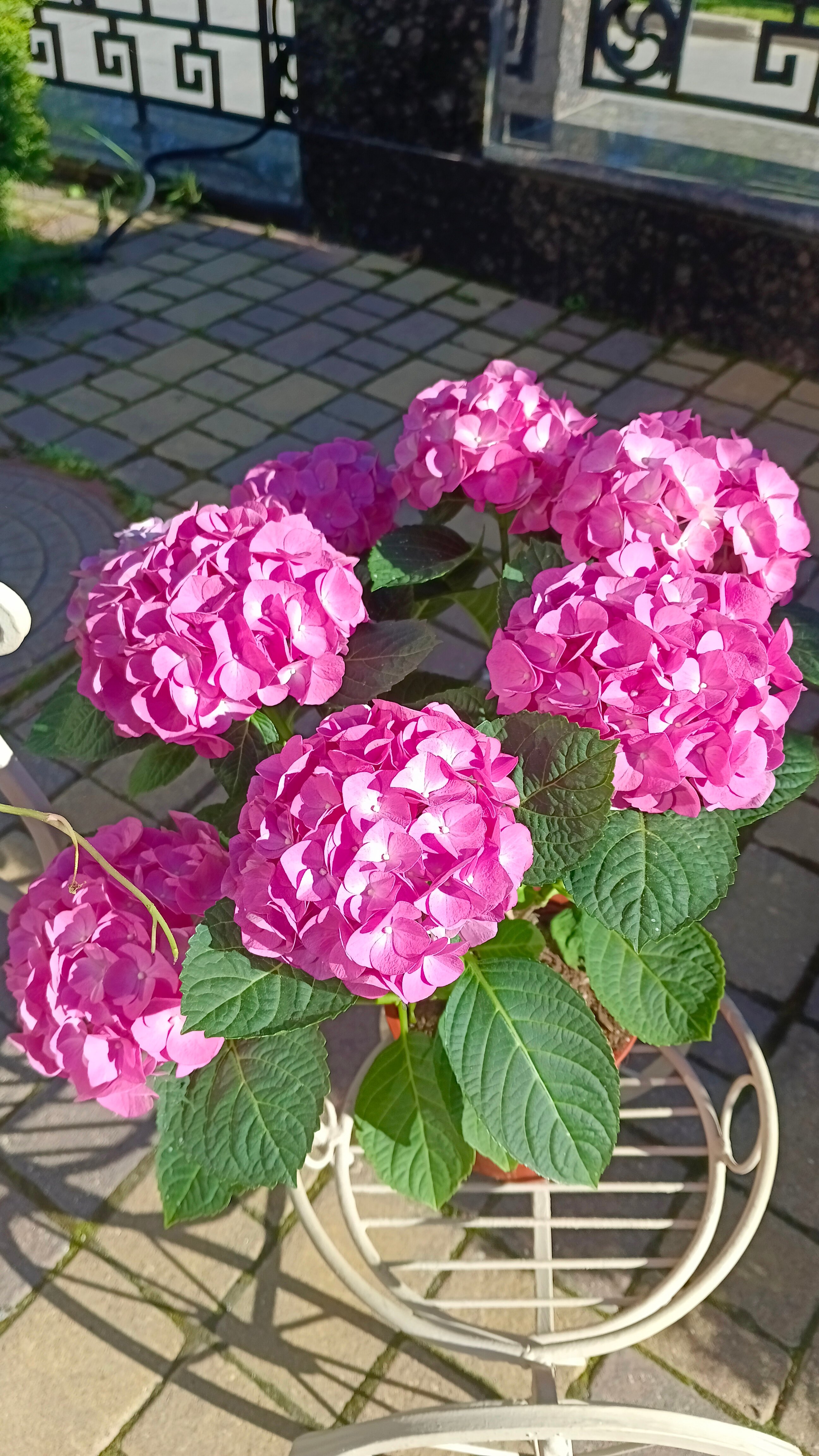 Фото Эдем Бизнес Отель