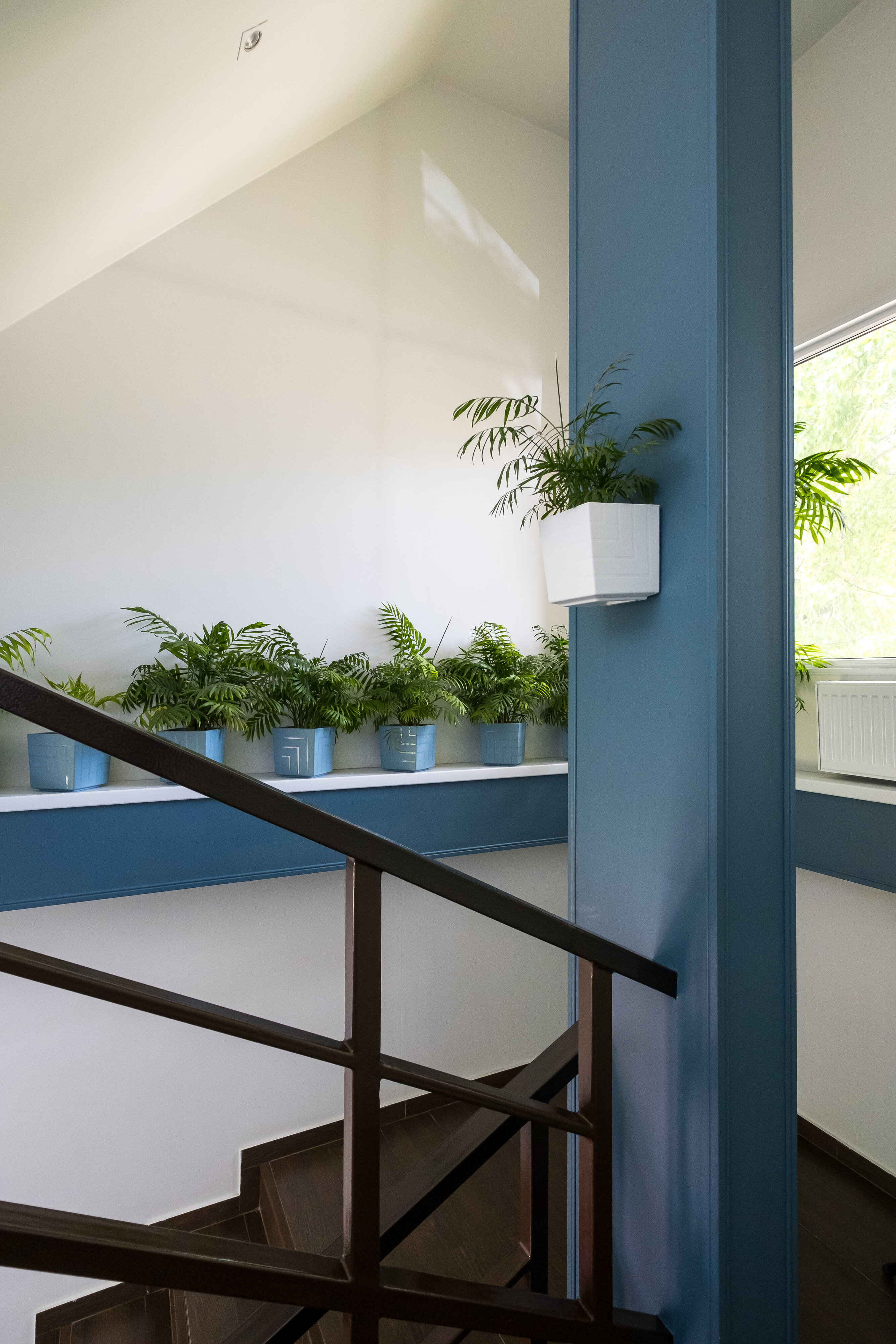 Фото Квадро