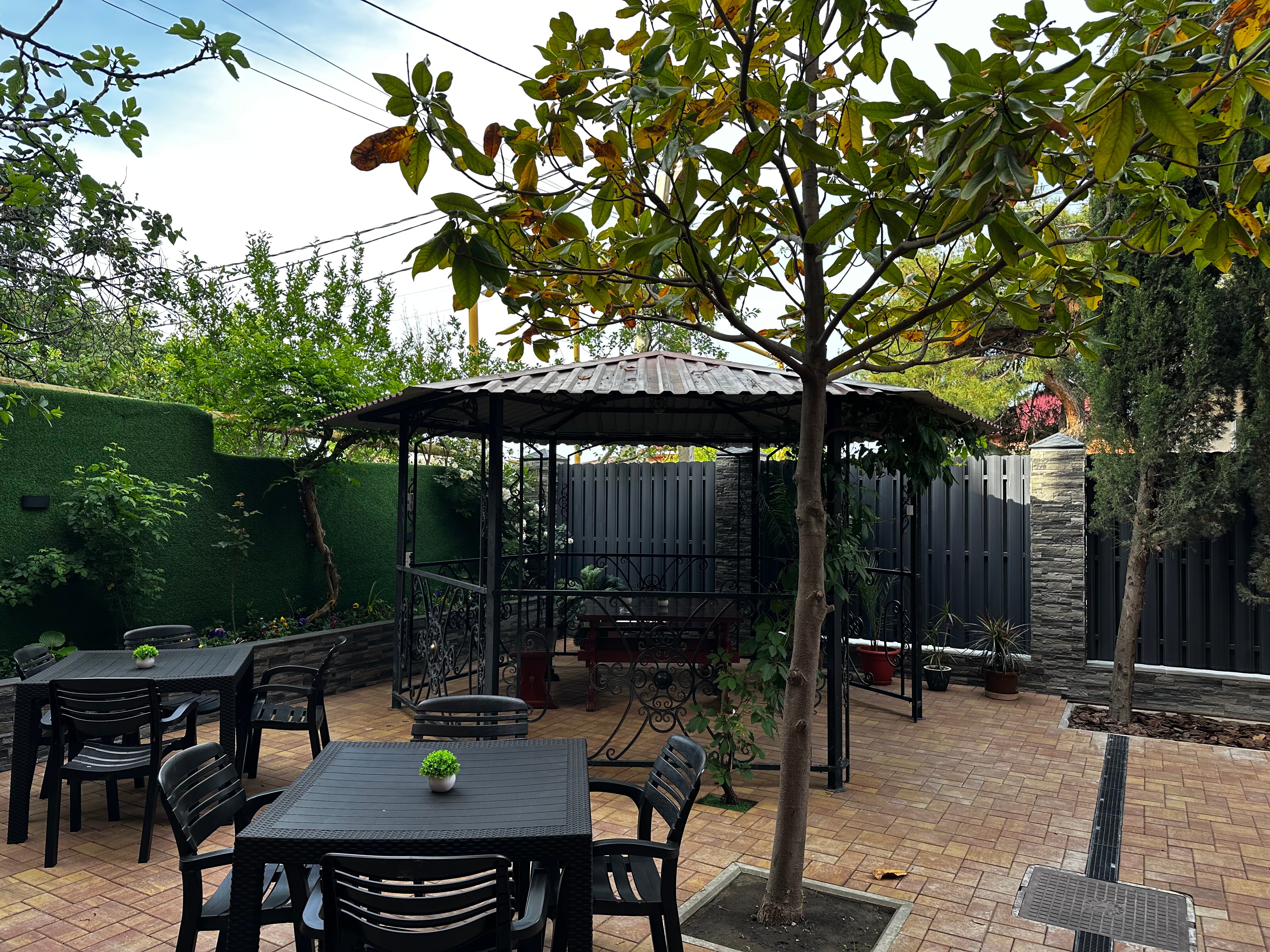 Фото Жемчужина 23