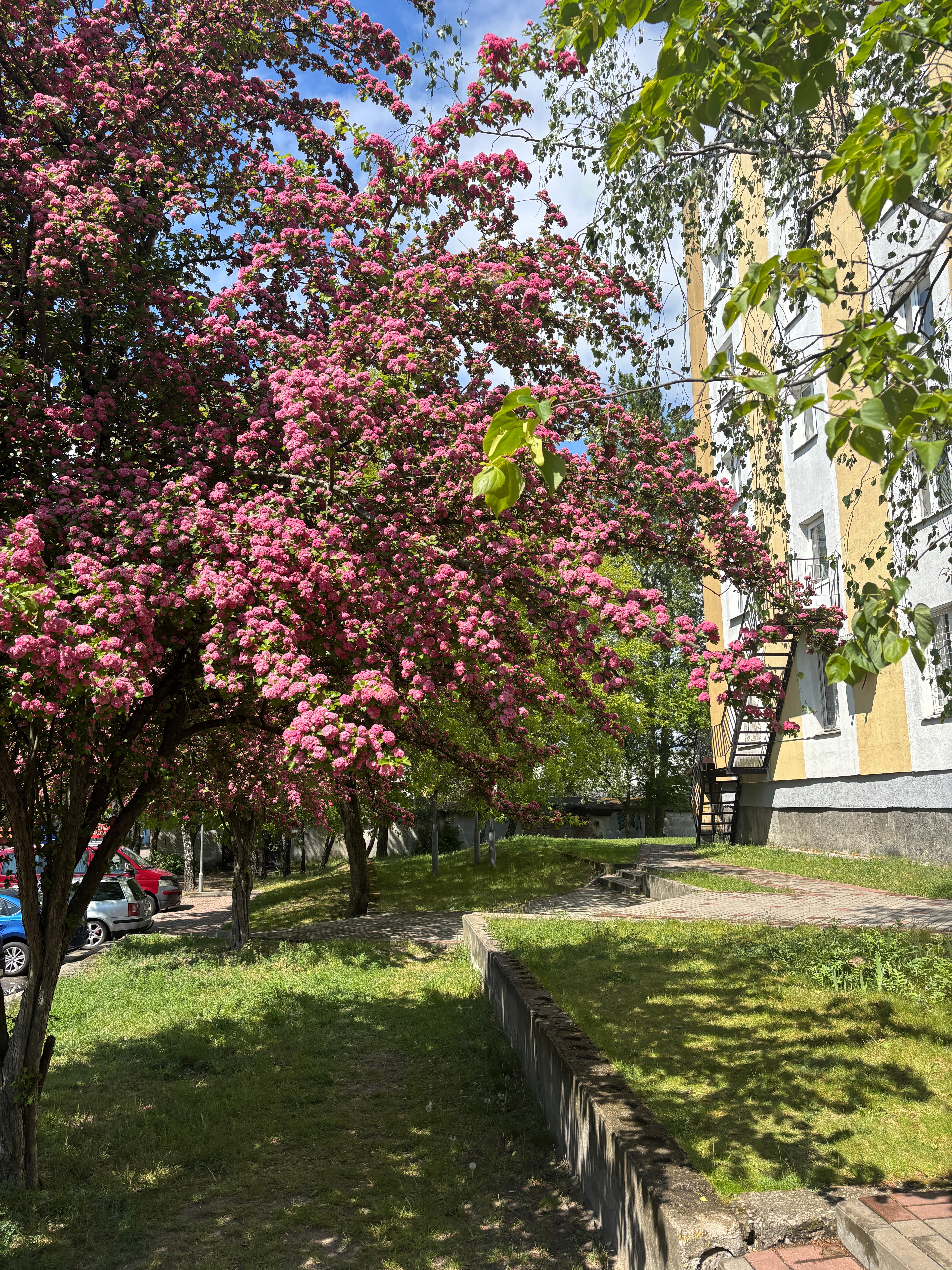 Фото Юность