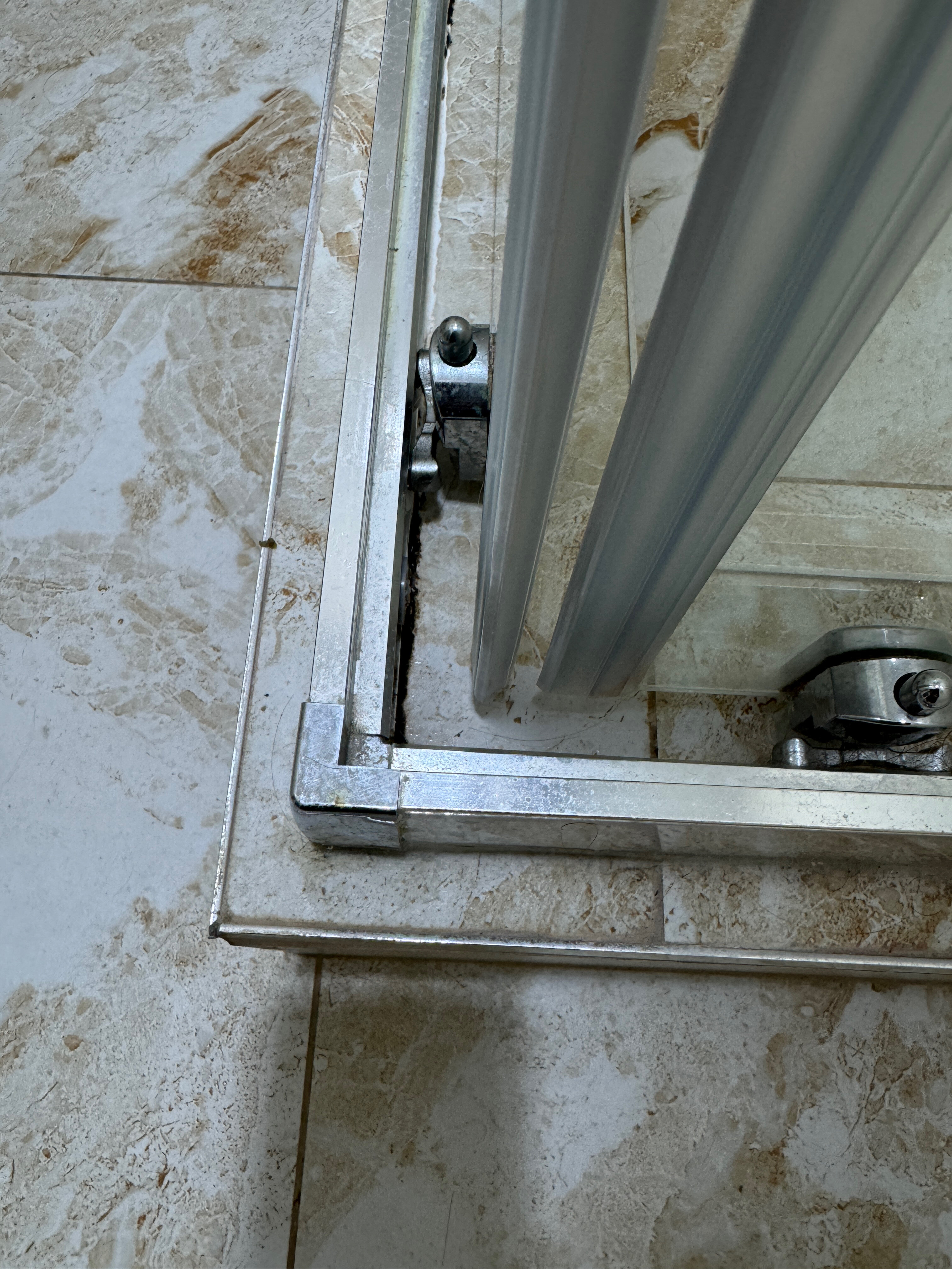 Фото Парацельс