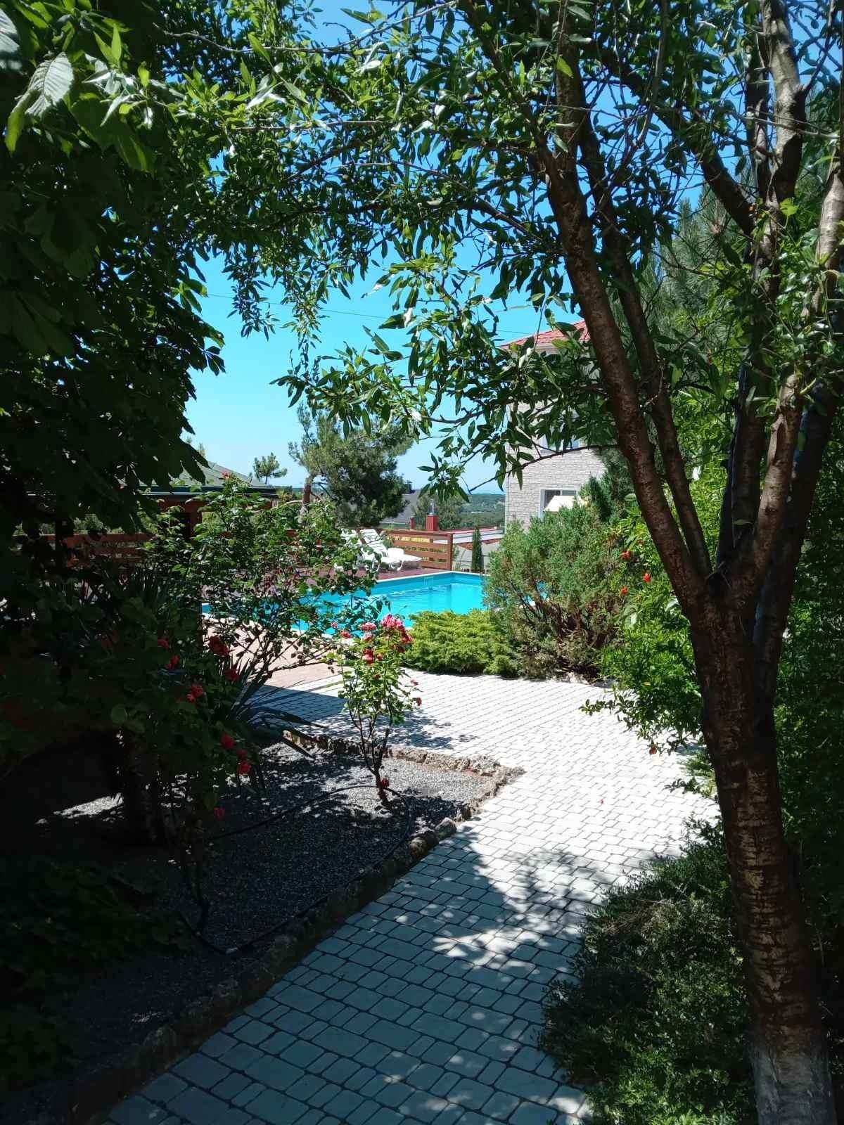 Фото Капля янтаря