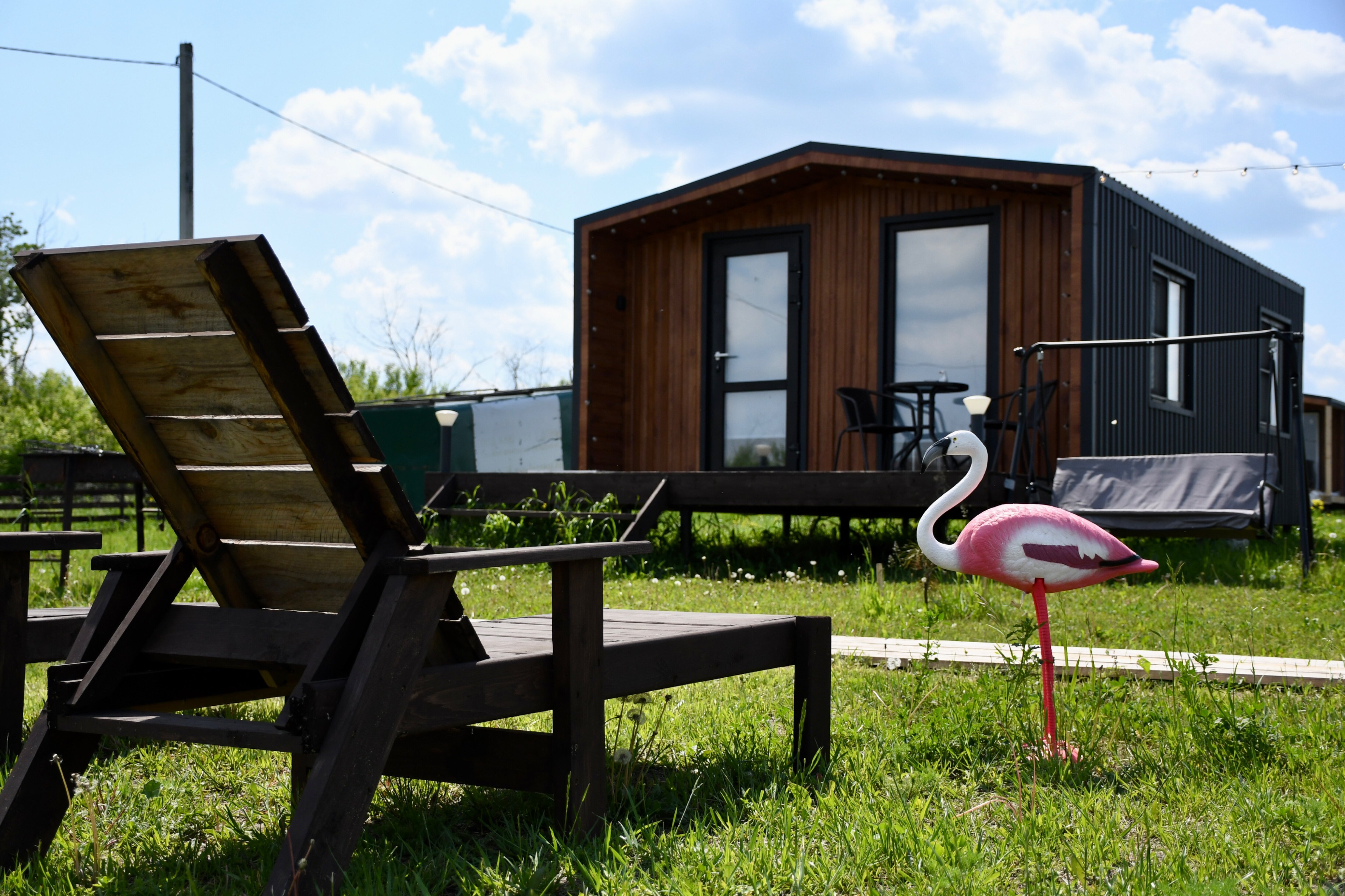 Фото Жар-Птица