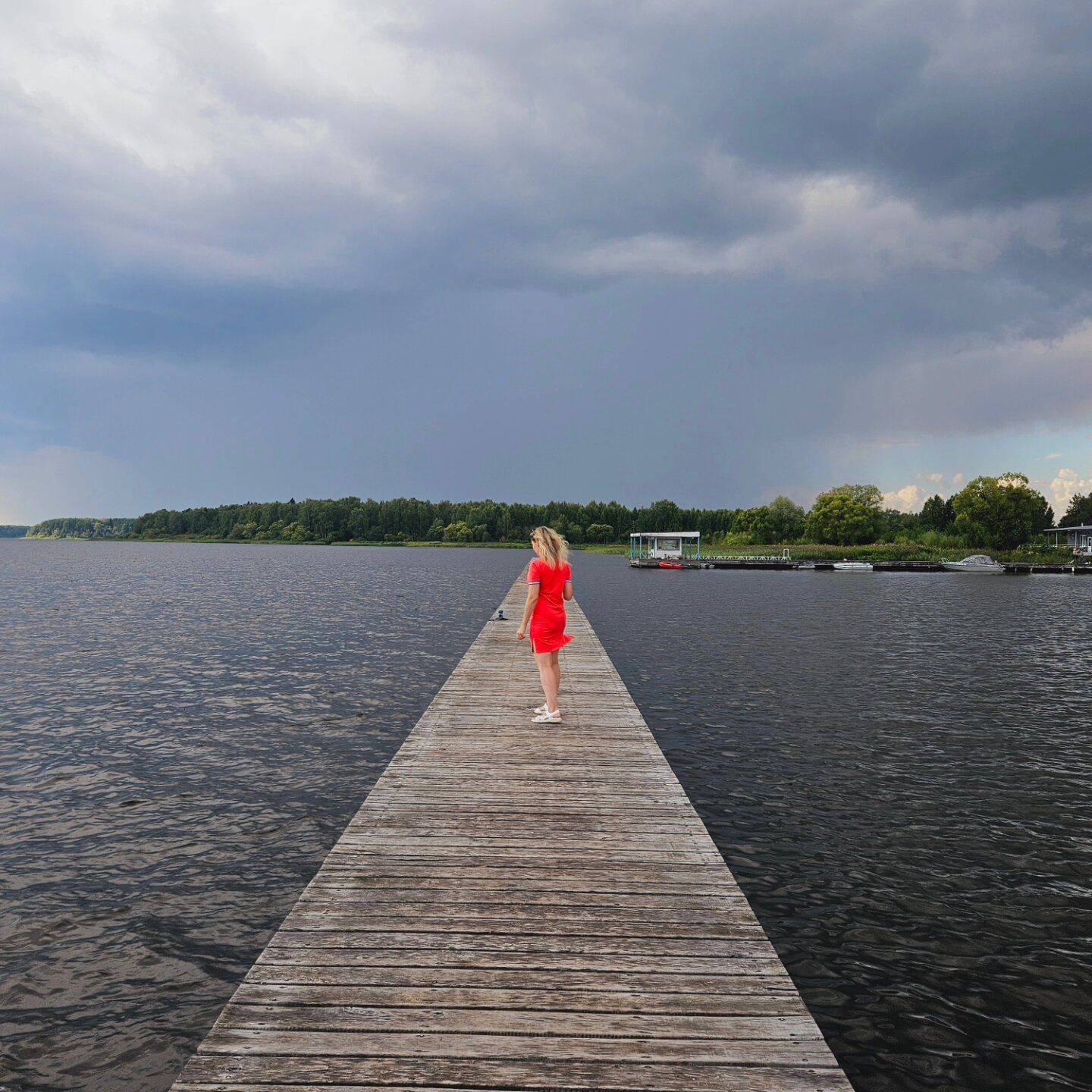 Фото Веточка