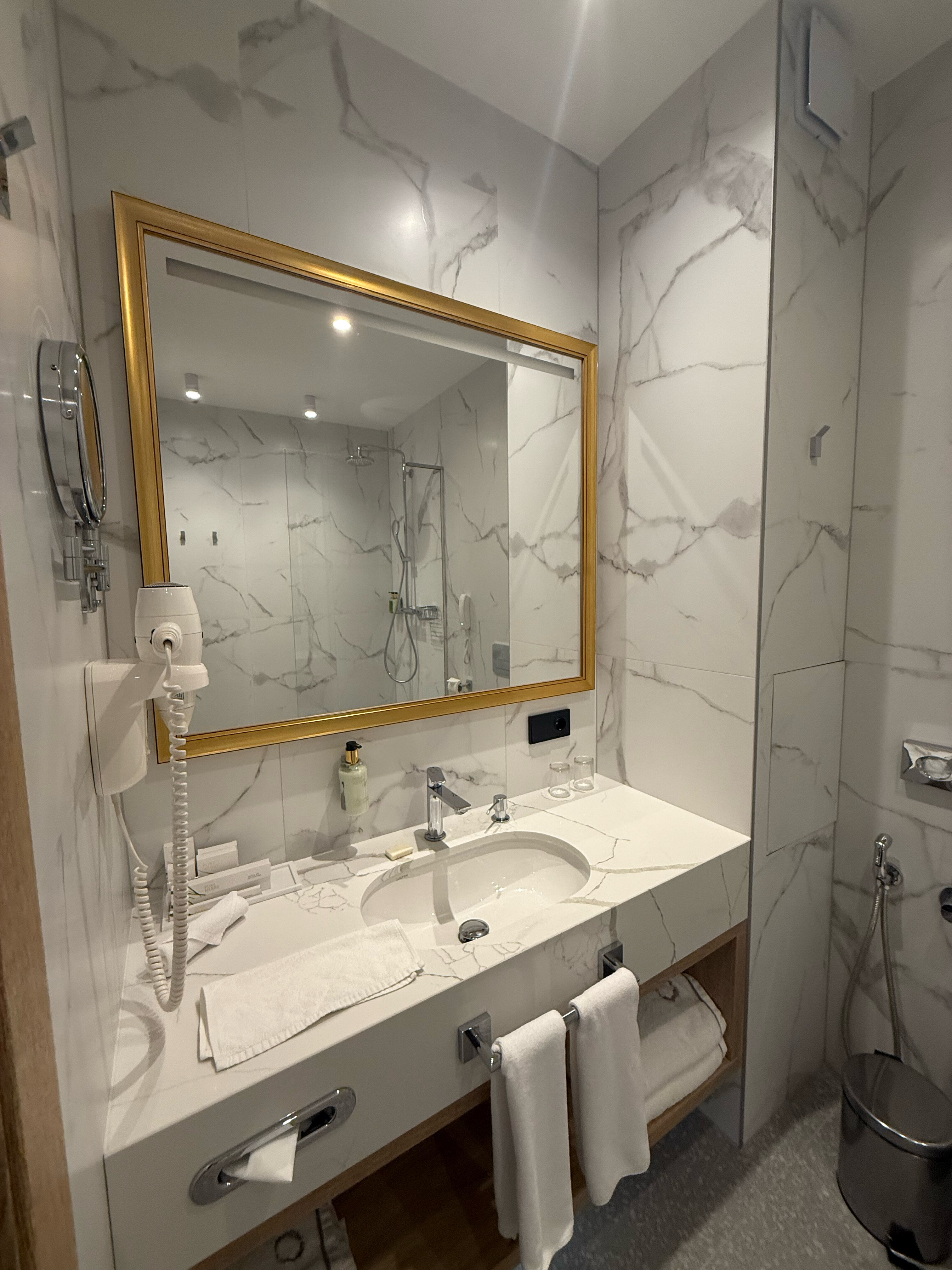 Фото Grand Hotel Royal Lions