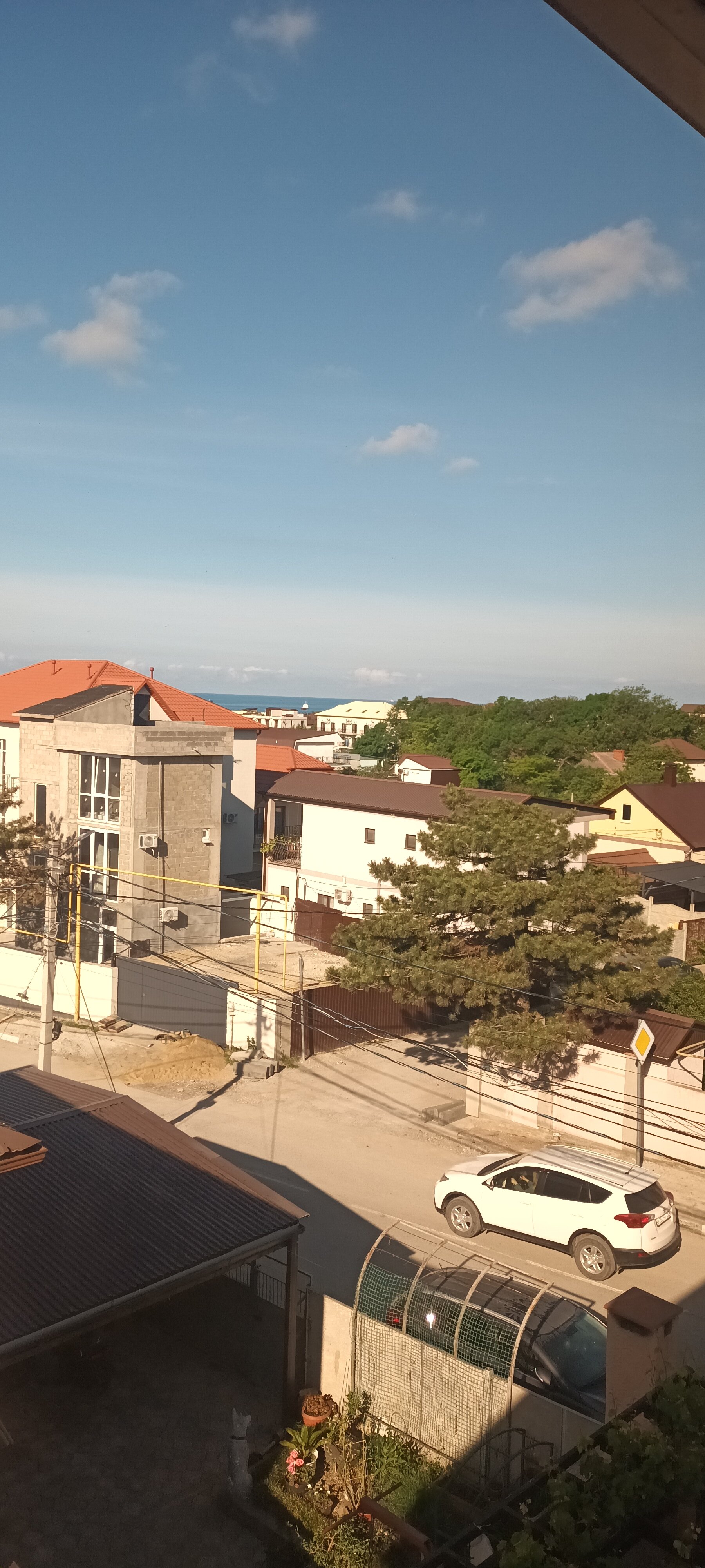 Фото Селена