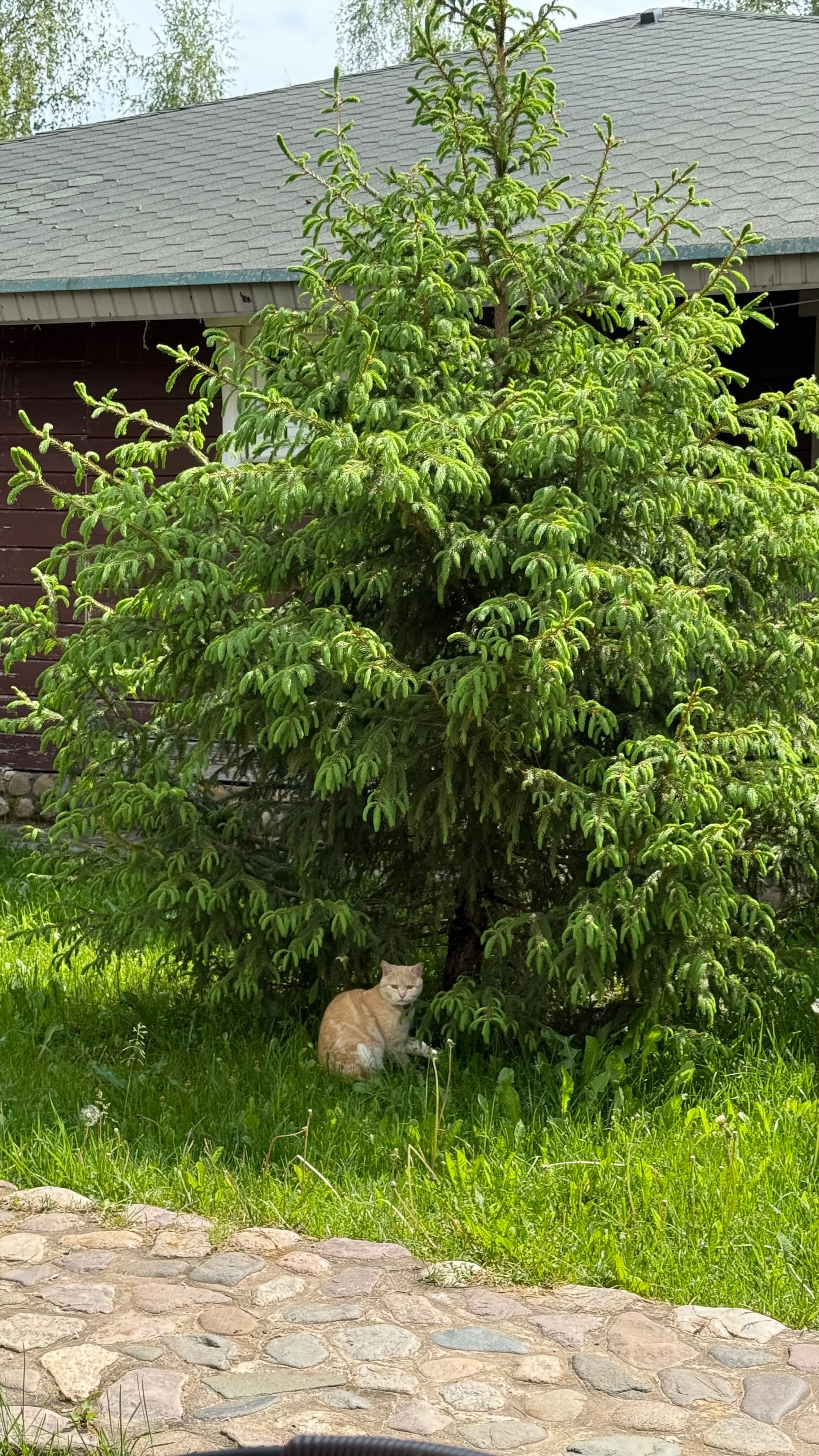 Фото Южный Паркъ