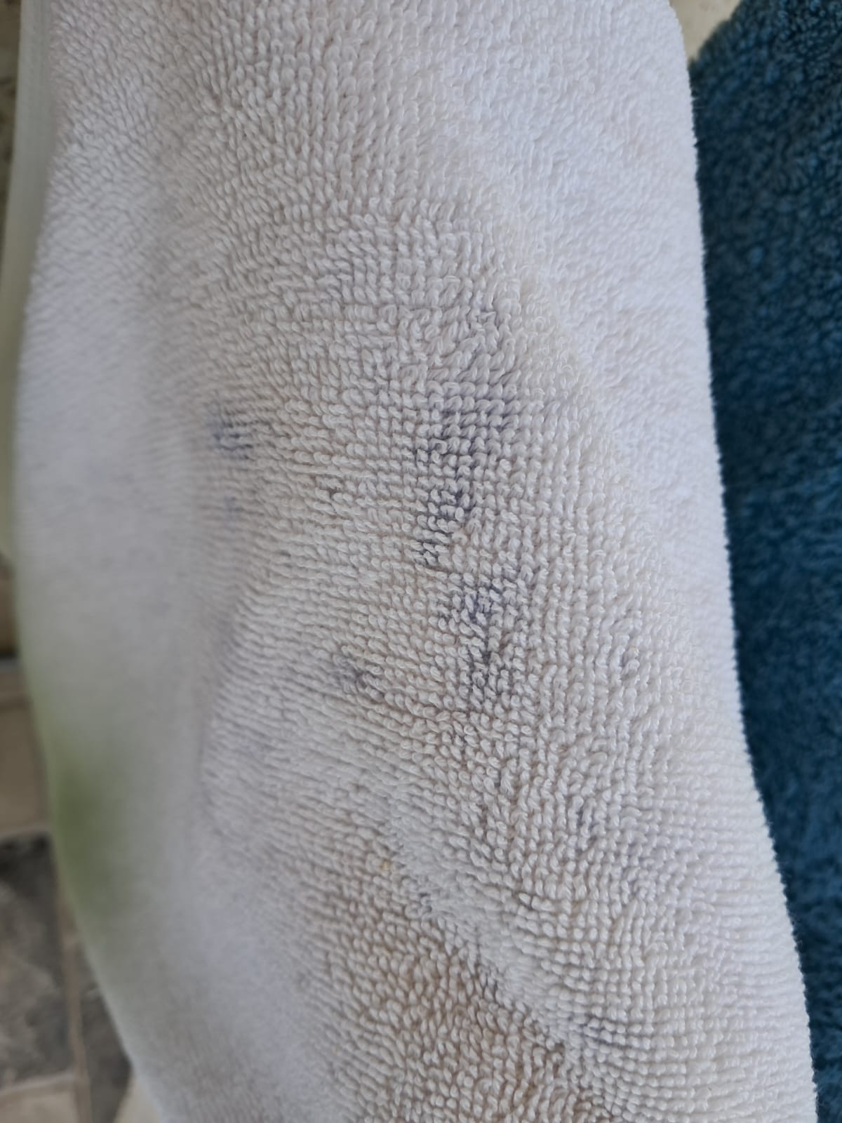 Фото Guest House Bugenviliya