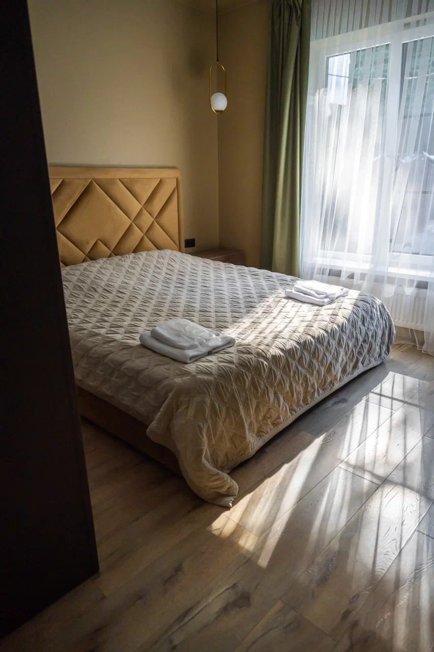 Фото Green forest