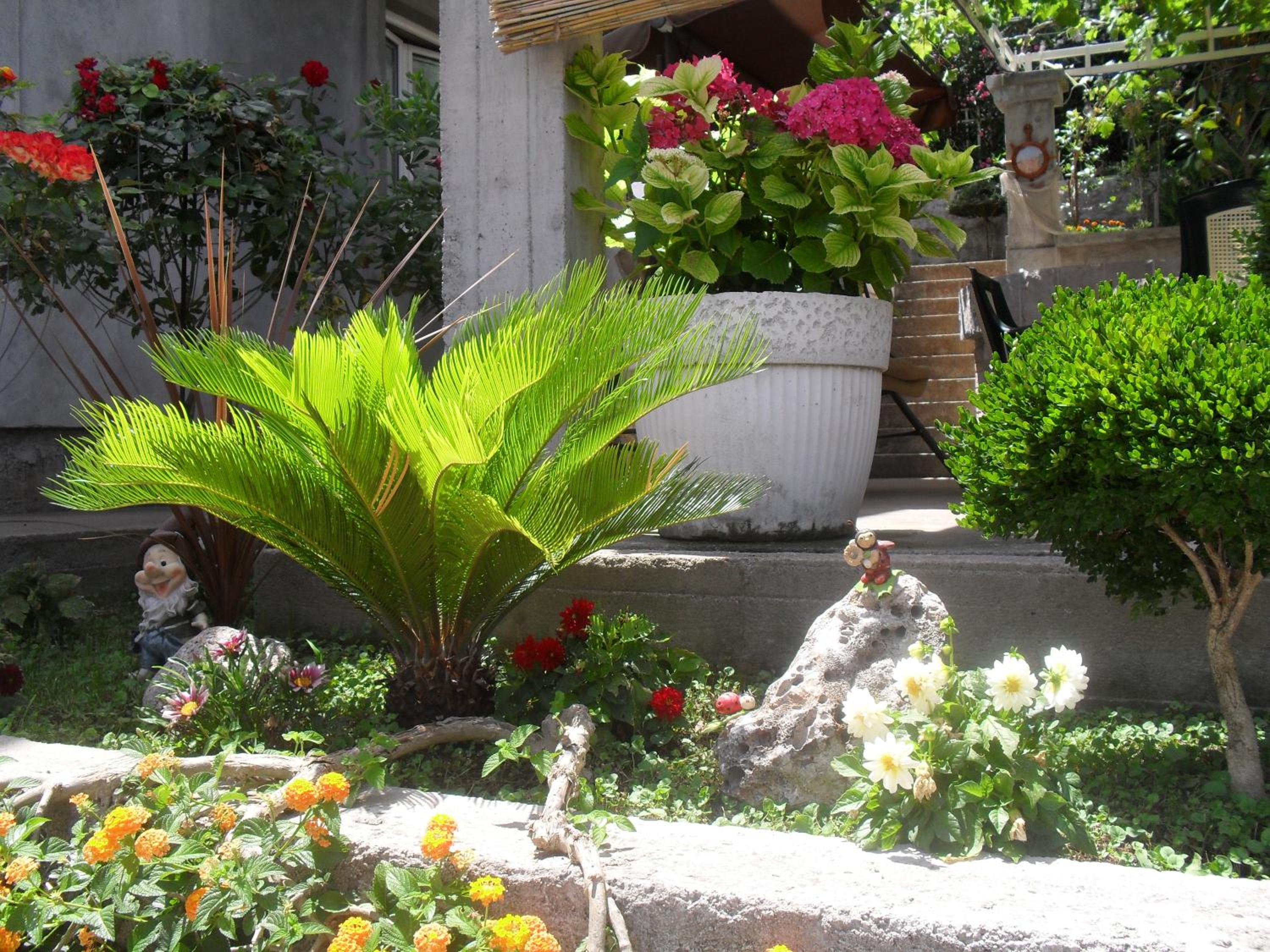 Фото Apartments Sandra