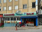 Black Sea Fishing (Istanbul, Umraniye, Ikbal Avenue, 152B), pescados y mariscos