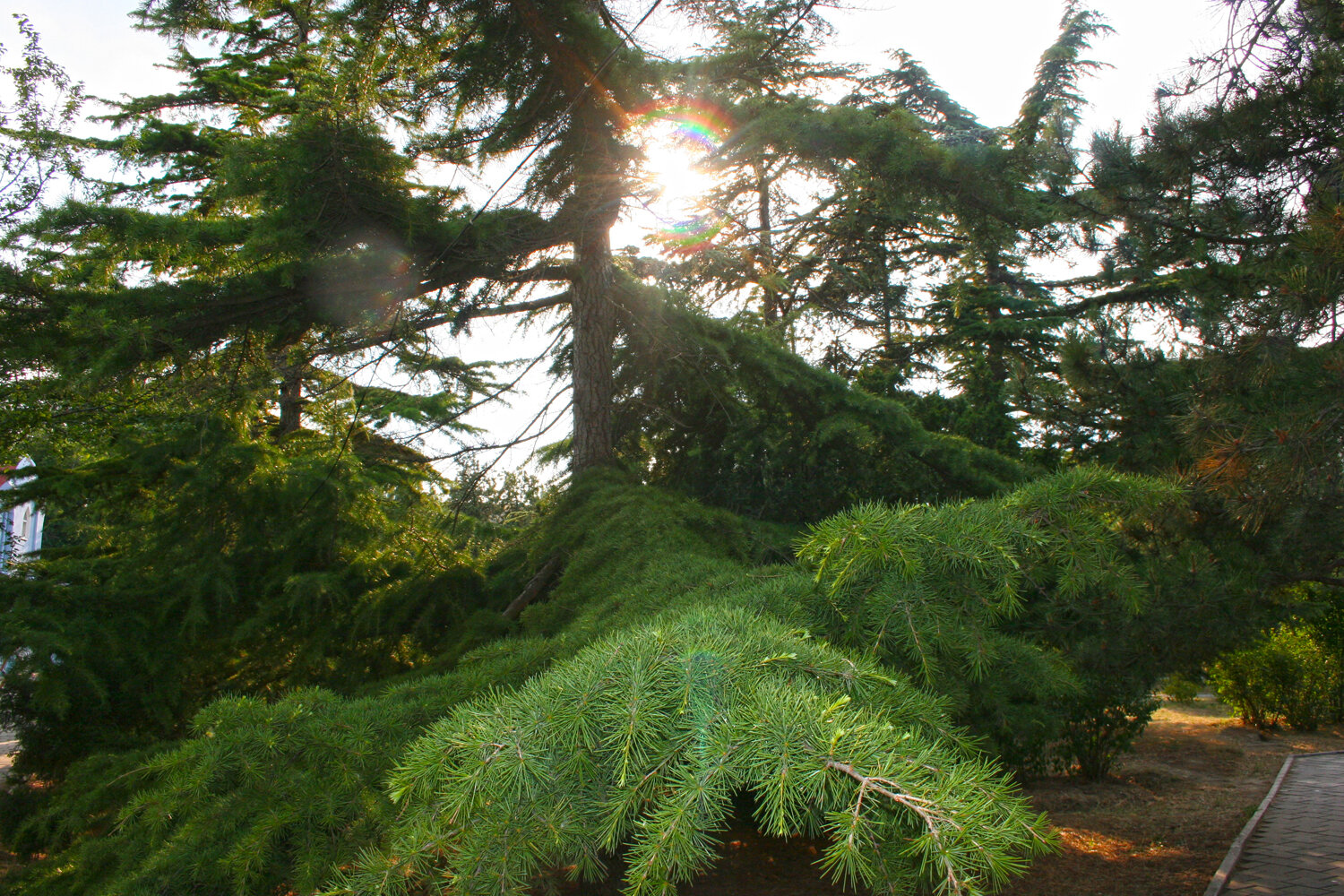 Фото Родина