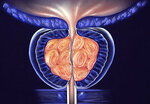 Assoc. Prof. Dr. Mehmet Ali Karagoz - Urology Specialist (Bursa, Nilüfer, Lefkoşe Cad., 22) ، أطباء بعيادات خاصة