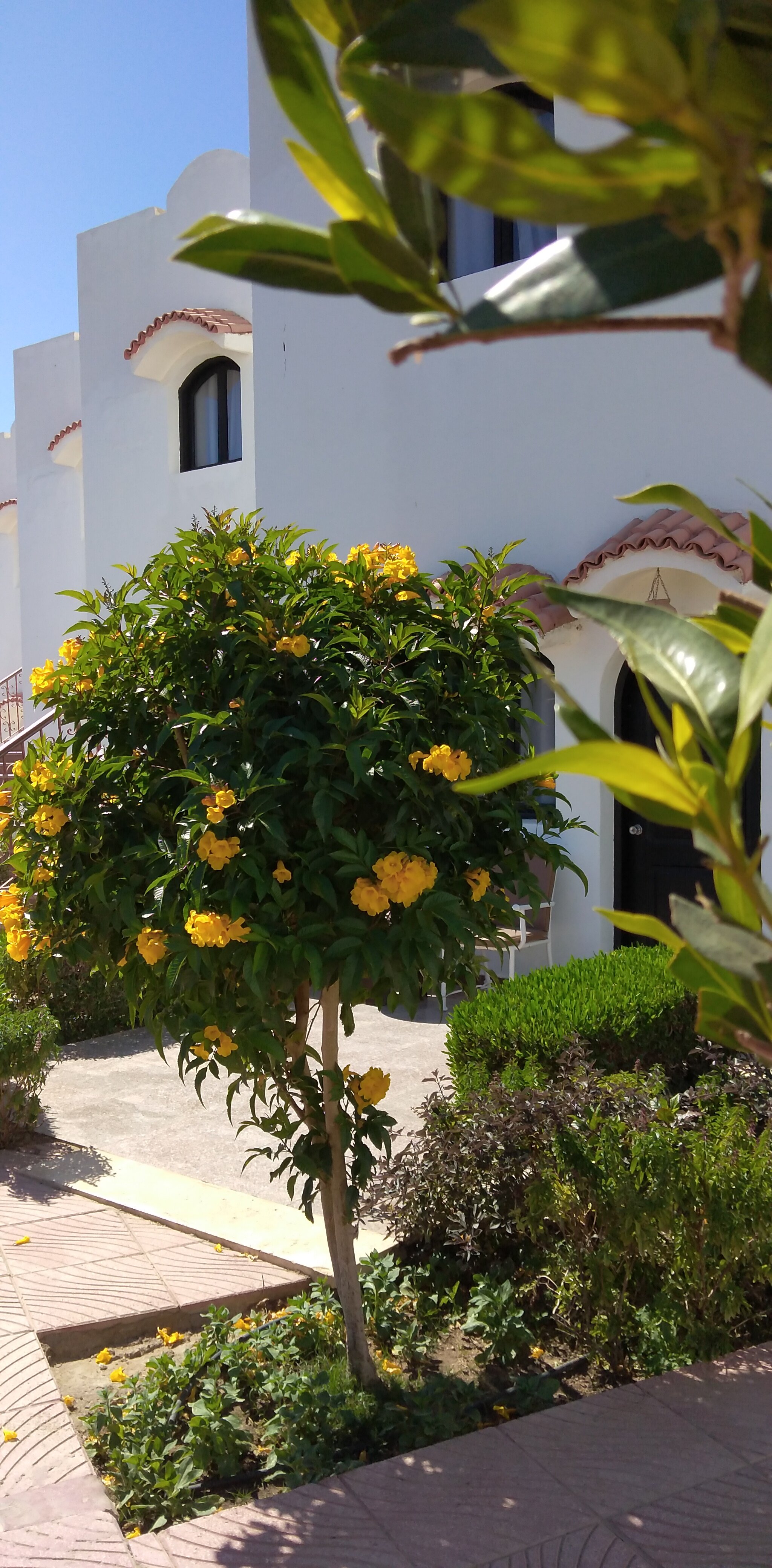 Фото Desert View Sharm Hotel