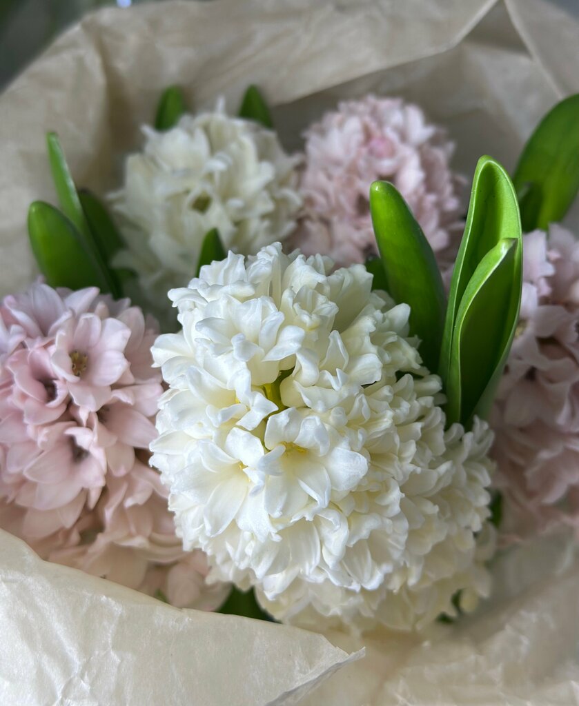 Аня Шушарина