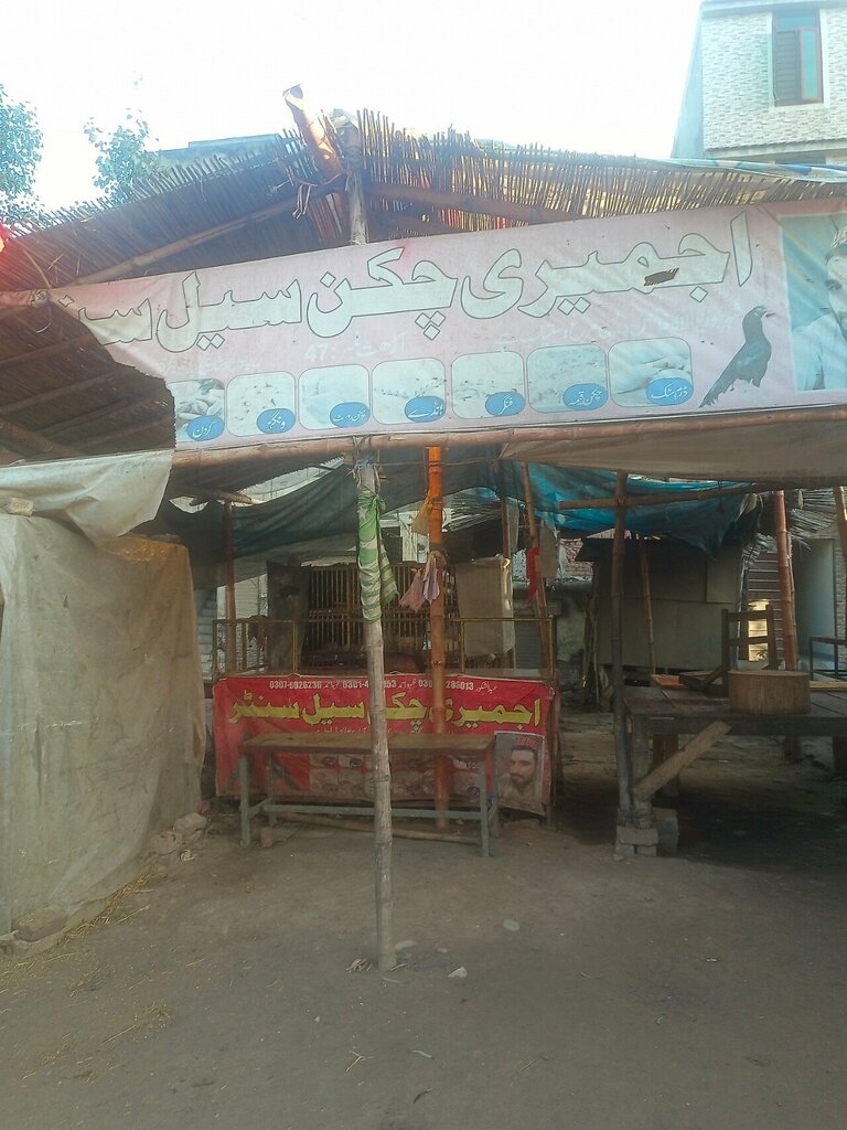 Butcher shop Ajmeer chicken sale centre, Lahore, photo