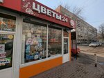 Цветы 24 (ulitsa Lva Tolstogo, 14Бс2), flower shop