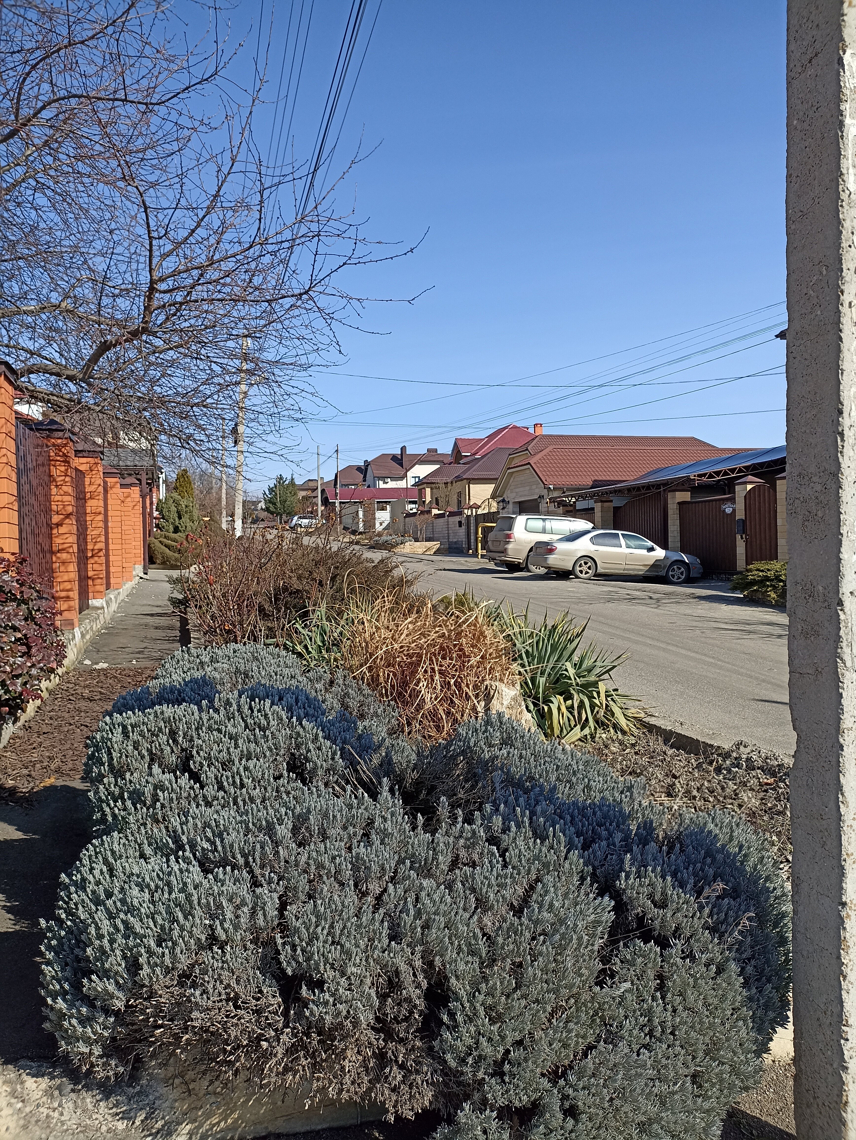 Фото Заветный