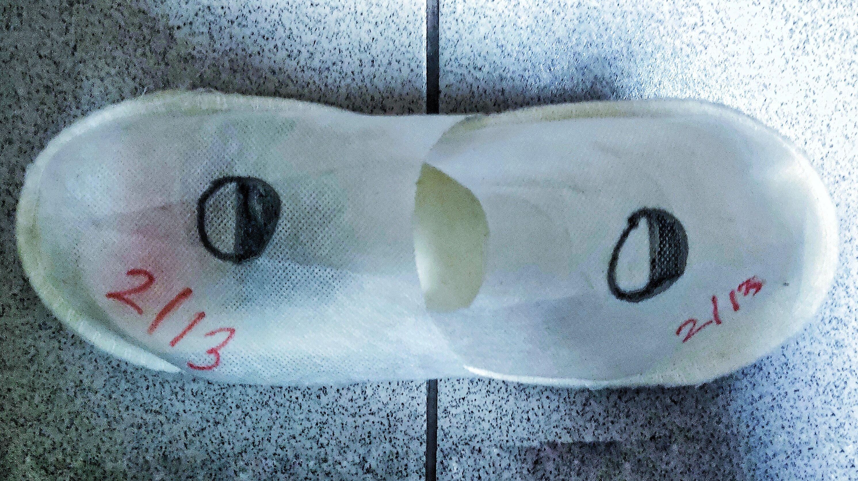 Фото Мун Скай 24/7