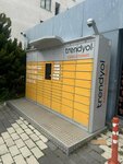 Trendyol Cargo Locker (Istanbul, Esenyurt, Akevler Neighborhood, 1066th Street, 7A), freight forwarding