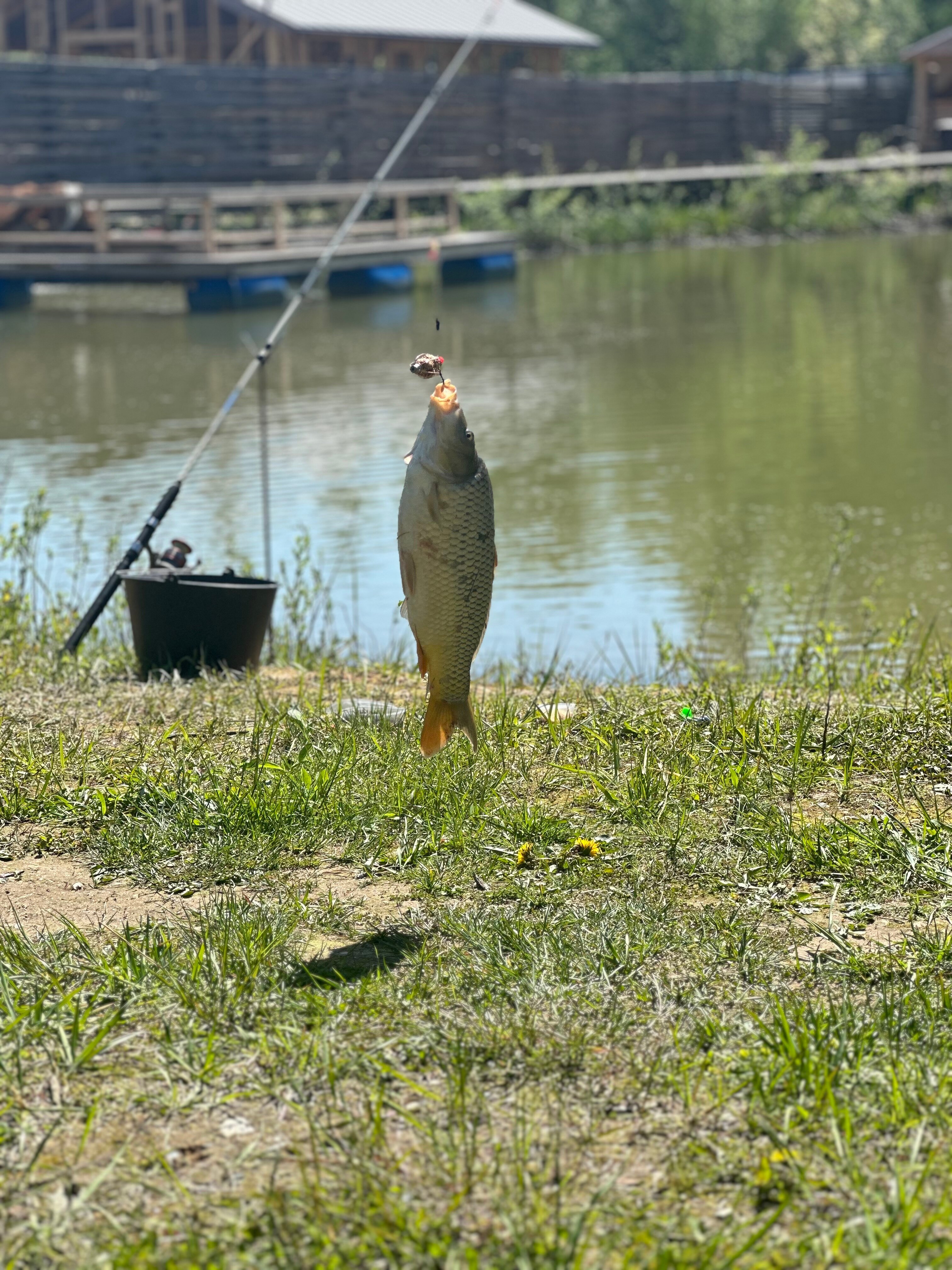 Фото Загорье