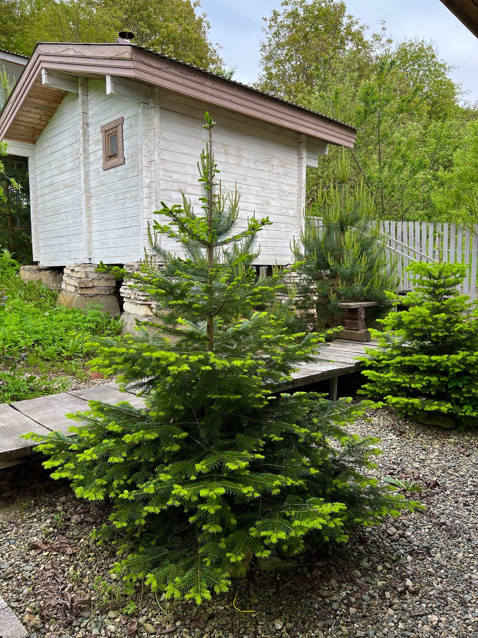 Фото Застава 23