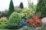 Arbor Pitomnik (Krasny Posyolok Street, 2А), plant nursery