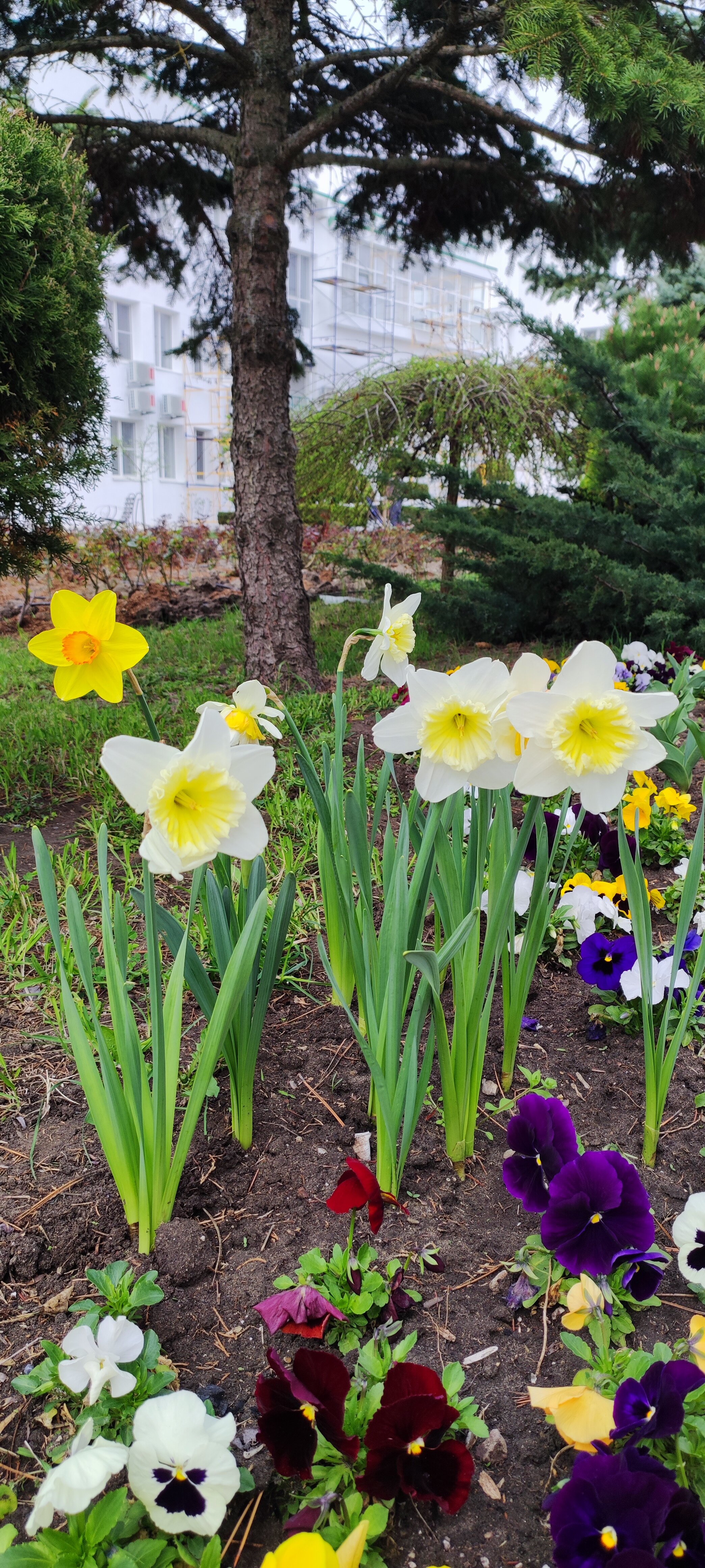 Фото Санаторий Анапа