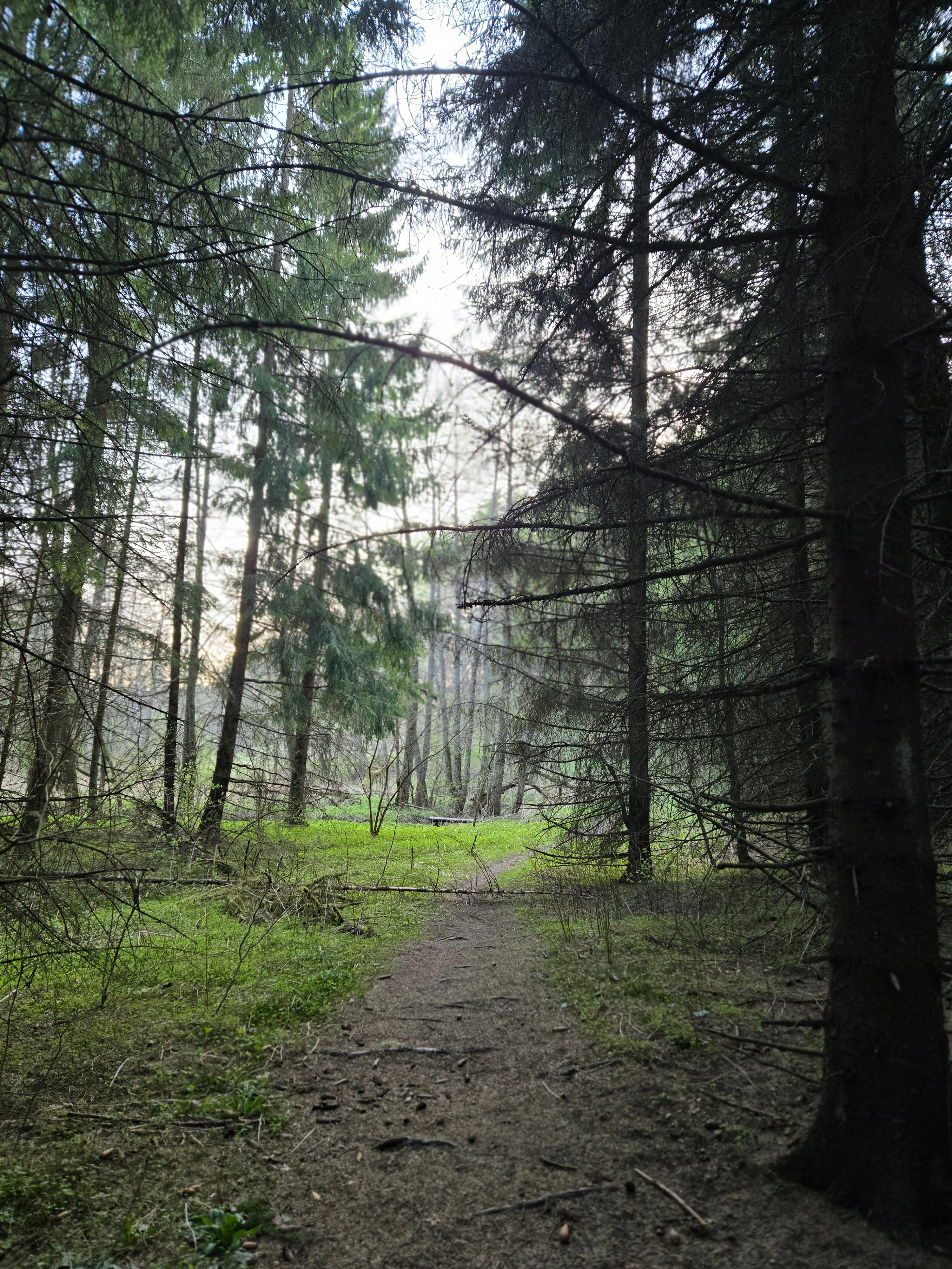 Фото Дар. Велегож