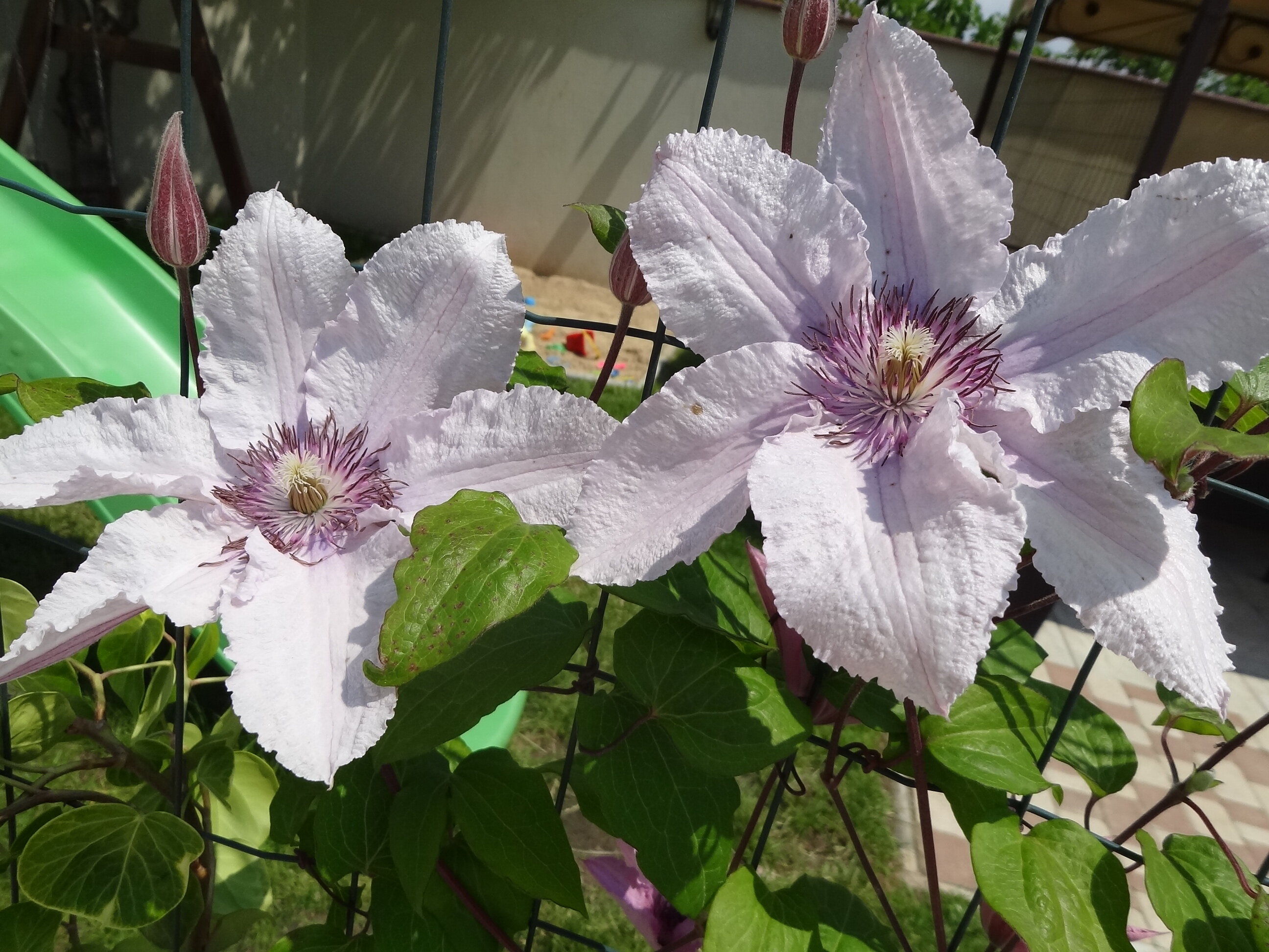 Фото Севастопольская усадьба