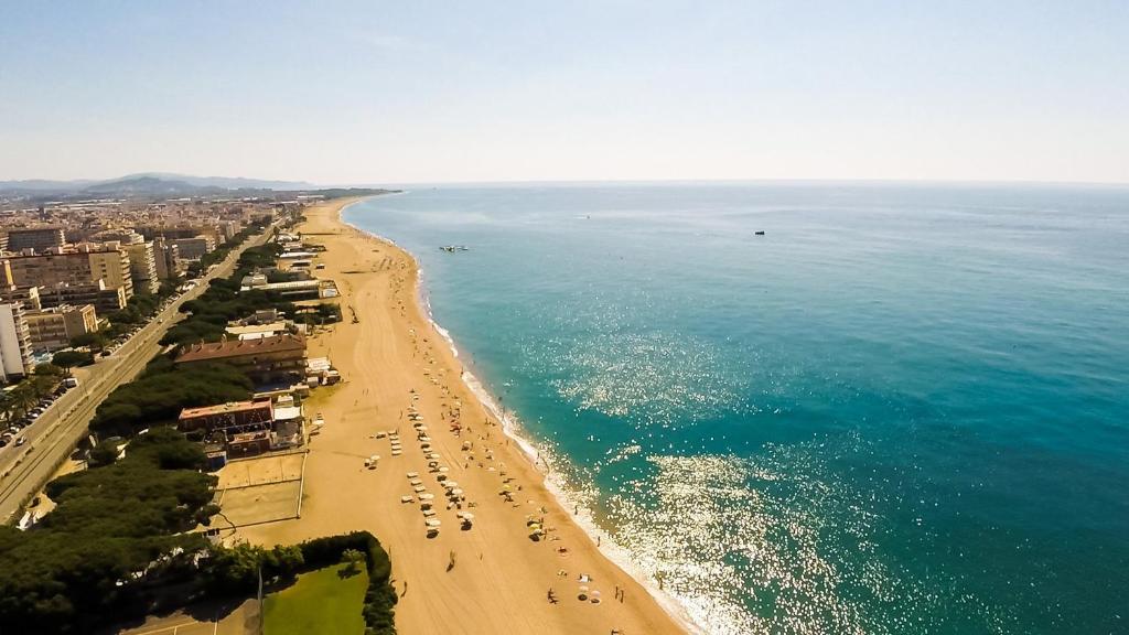 Фото Hotel Checkin Pineda