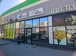 Paravozz (9-y Port-Arturskiy pereulok, 76), vape shop