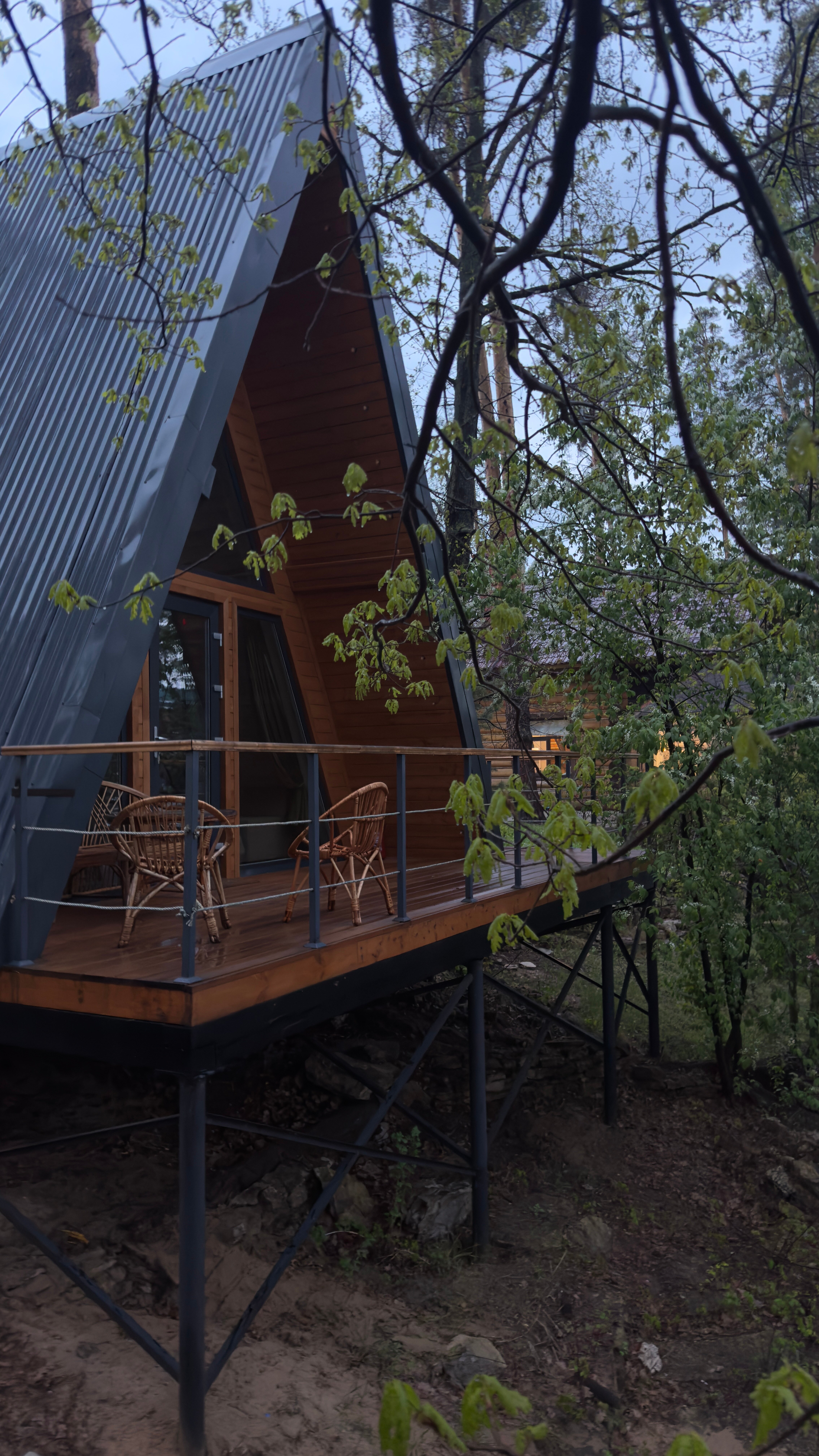 Фото Борвиха