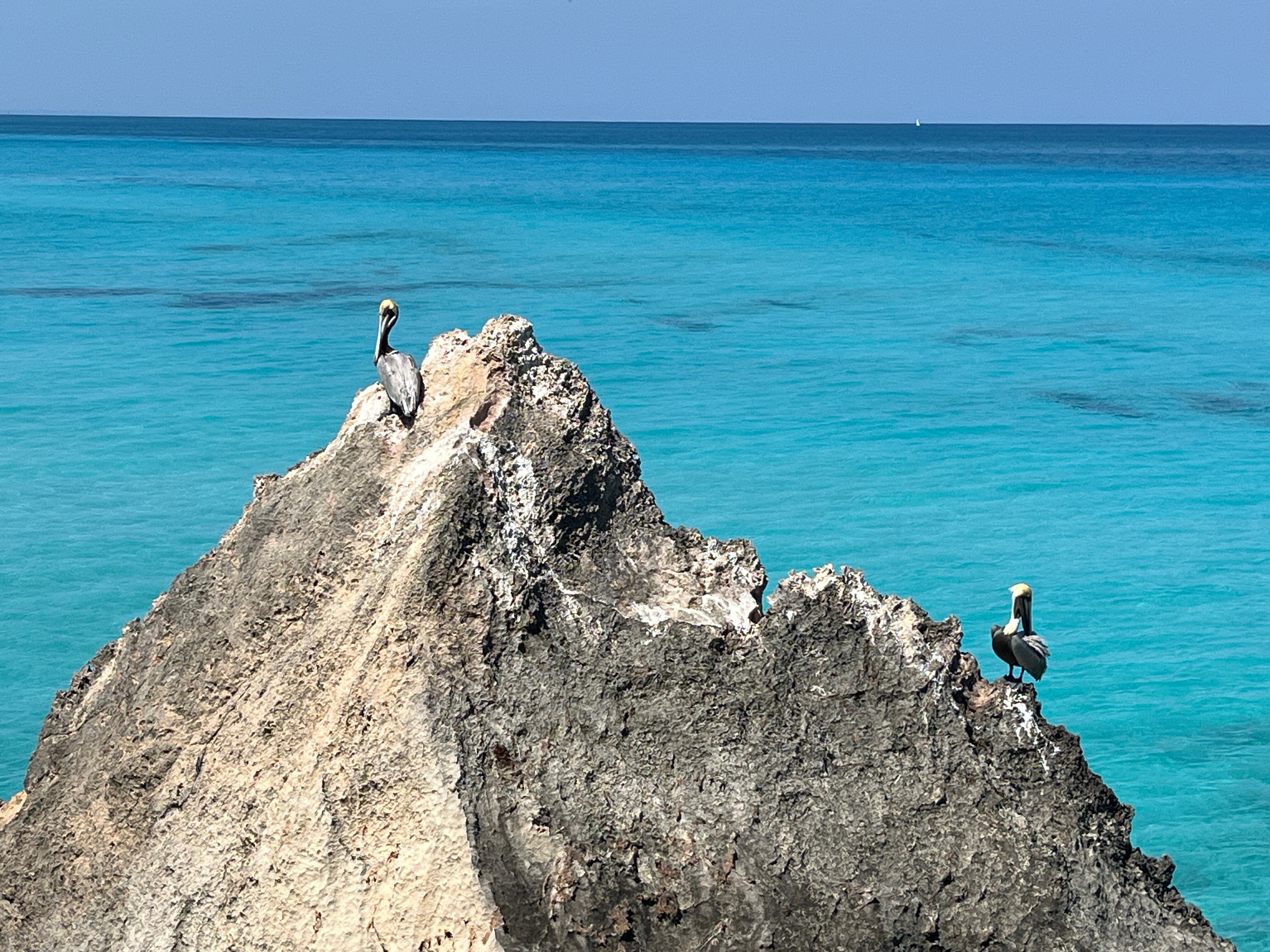 Фото Hotel Playa Vista Azul