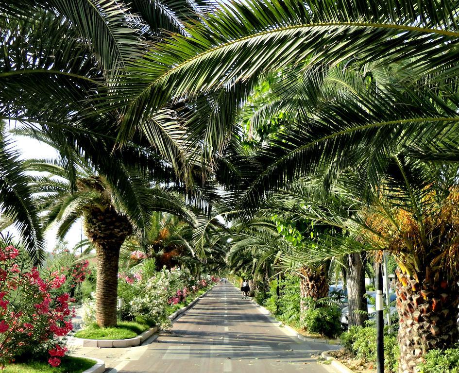 Фото Aurea Hotel Tortoreto Lido